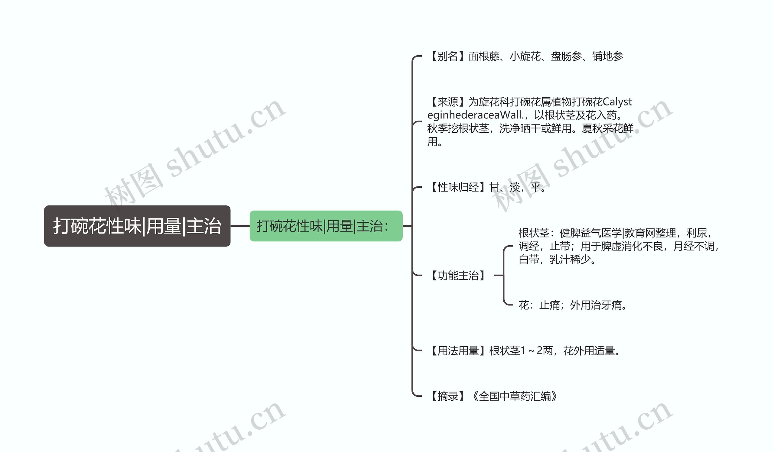 打碗花性味|用量|主治