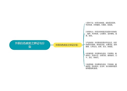 外阴白色病变之辨证与分型