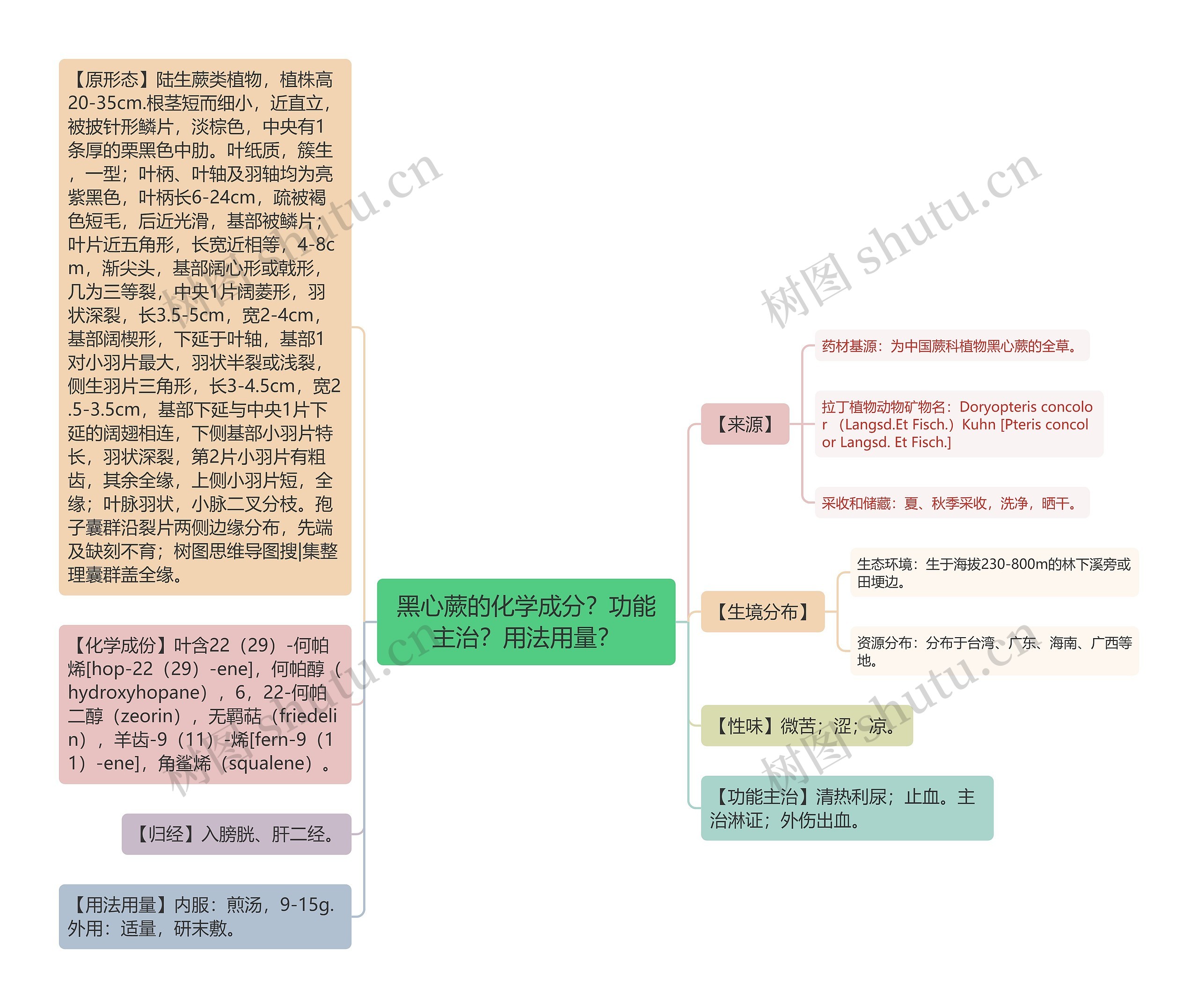 黑心蕨的化学成分？功能主治？用法用量？思维导图