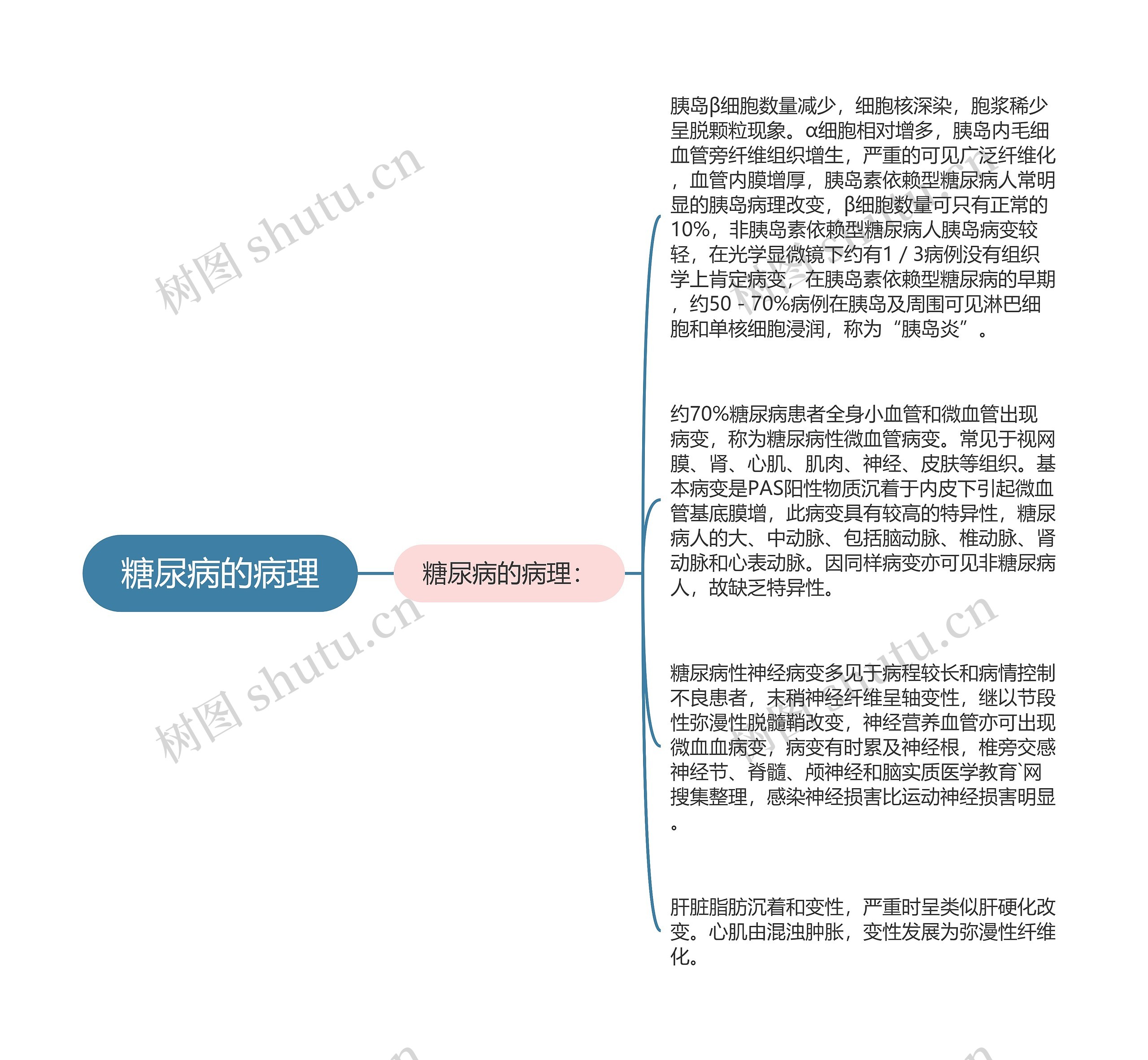 糖尿病的病理思维导图