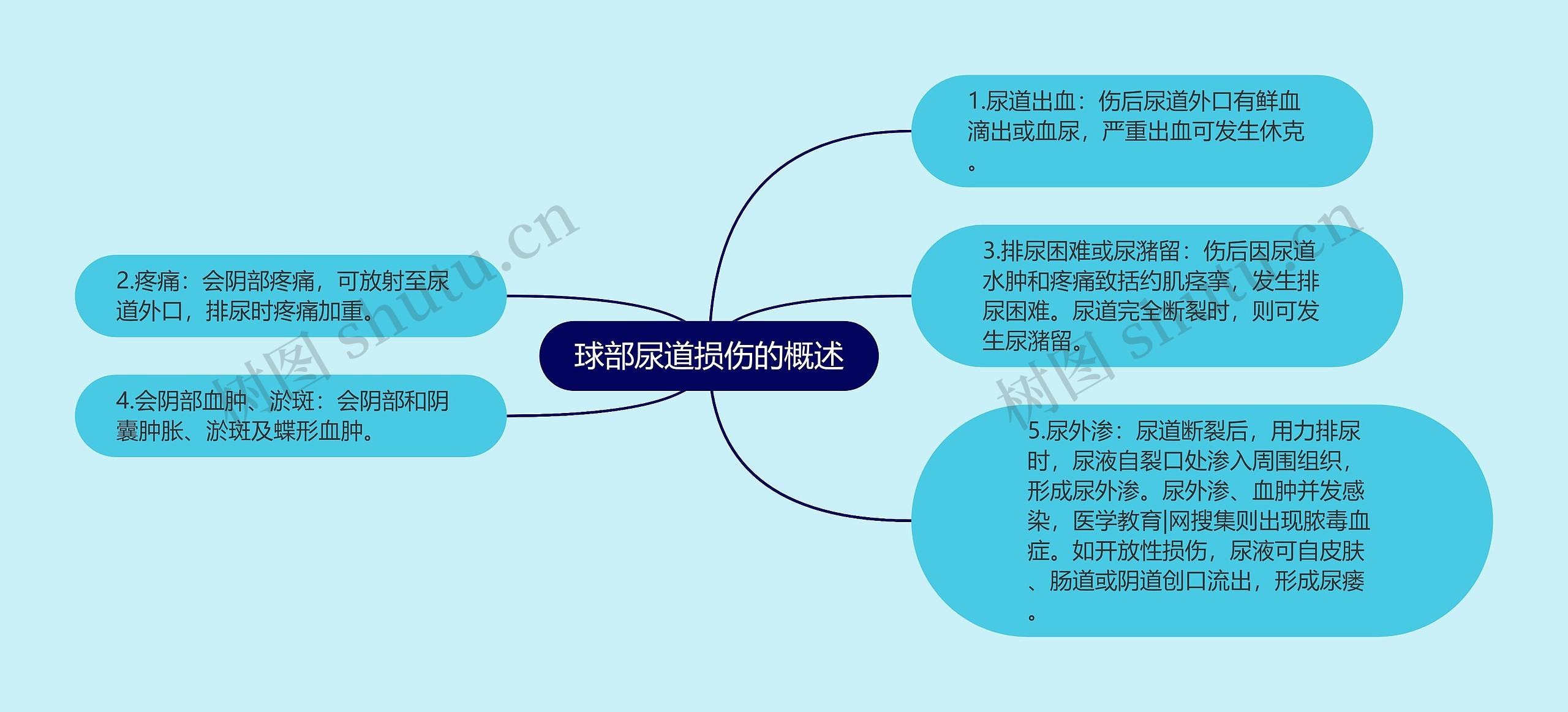 球部尿道损伤的概述思维导图