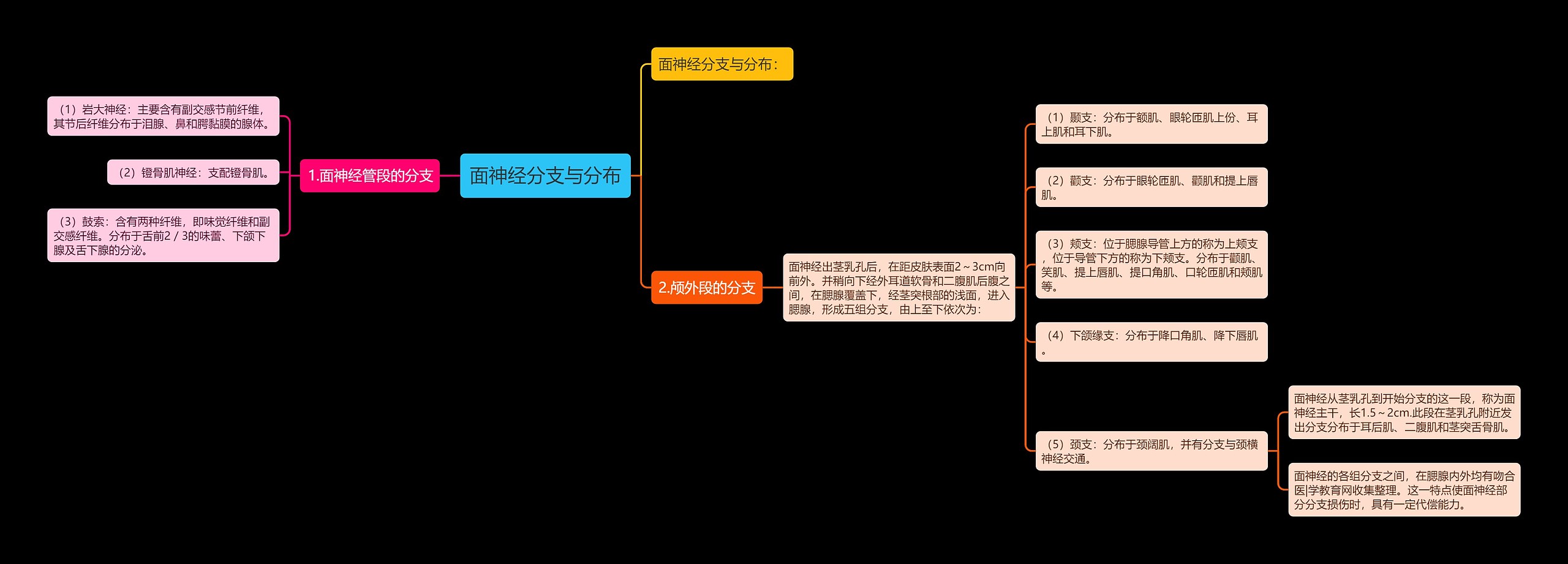 面神经分支与分布思维导图