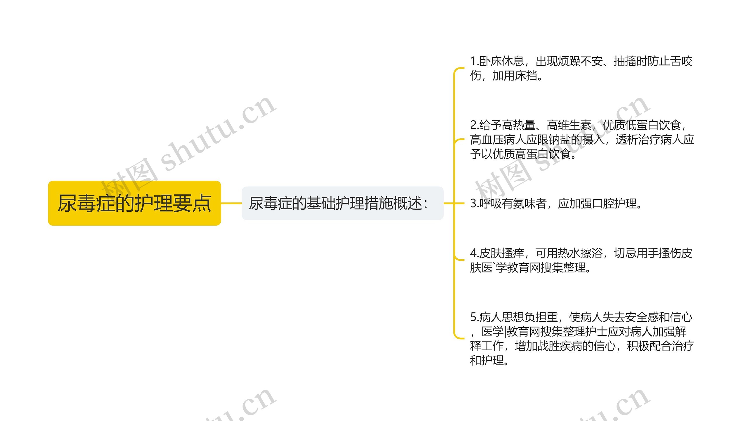 尿毒症的护理要点