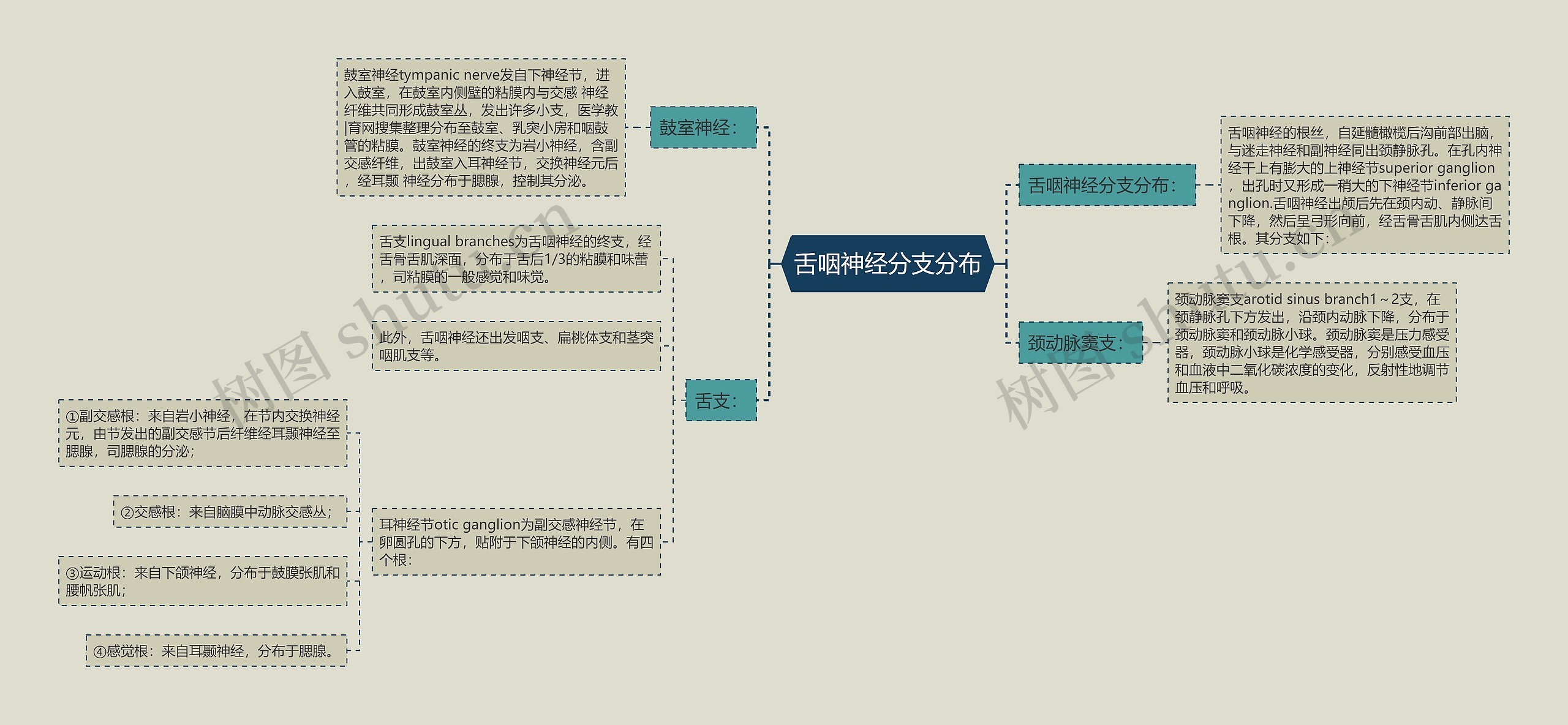 舌咽神经分支分布思维导图