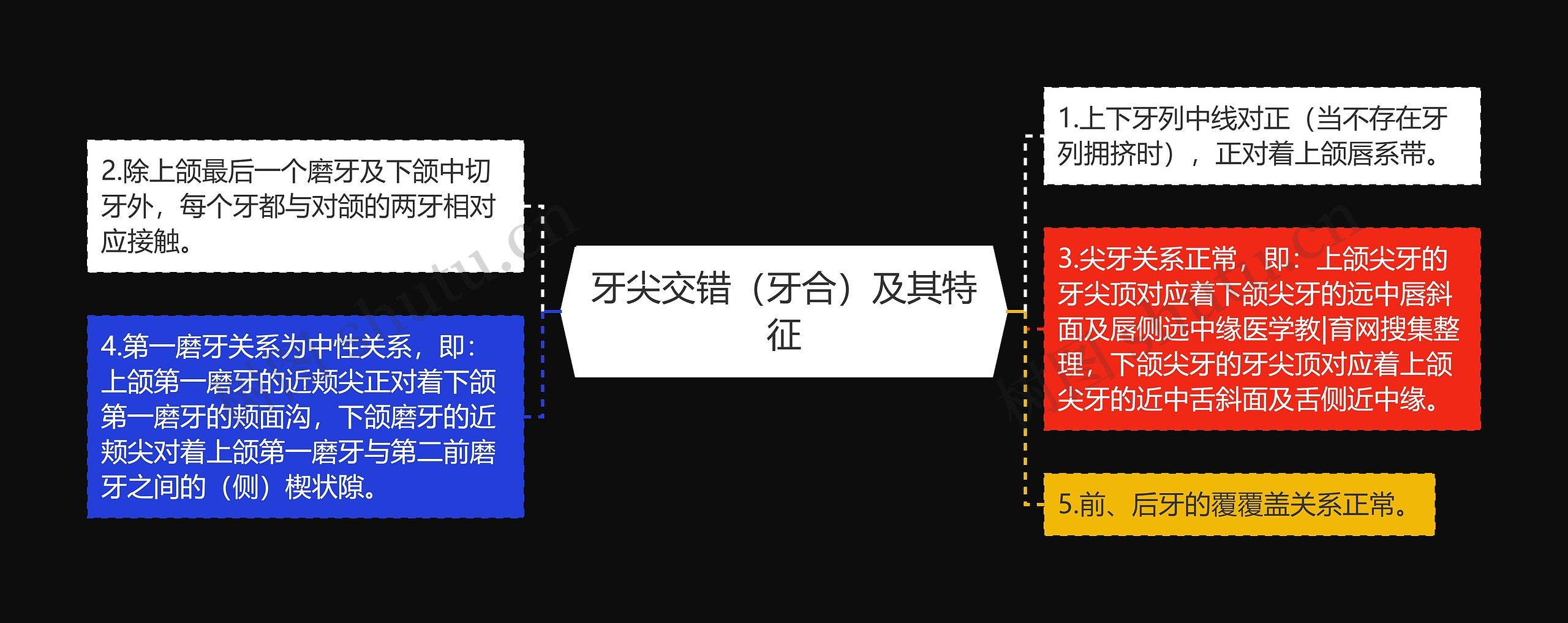 牙尖交错（牙合）及其特征思维导图