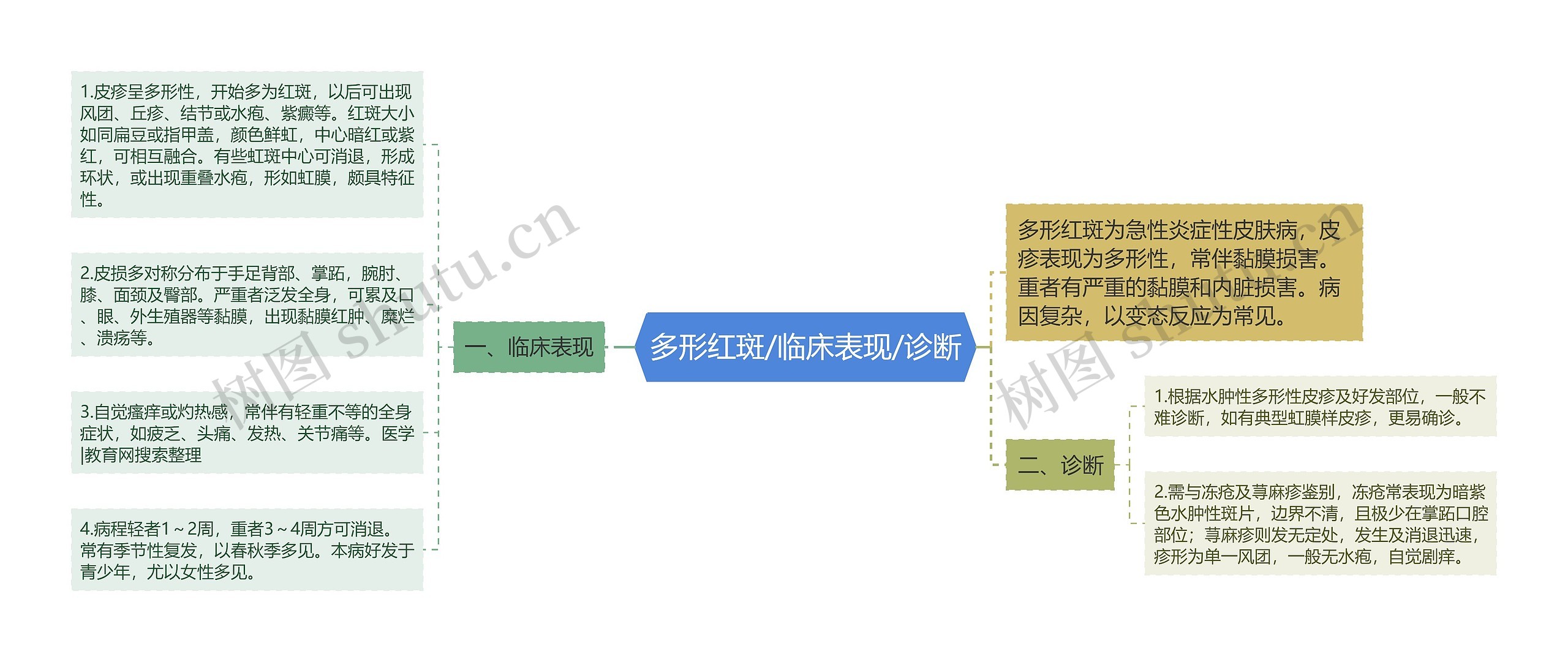 多形红斑/临床表现/诊断