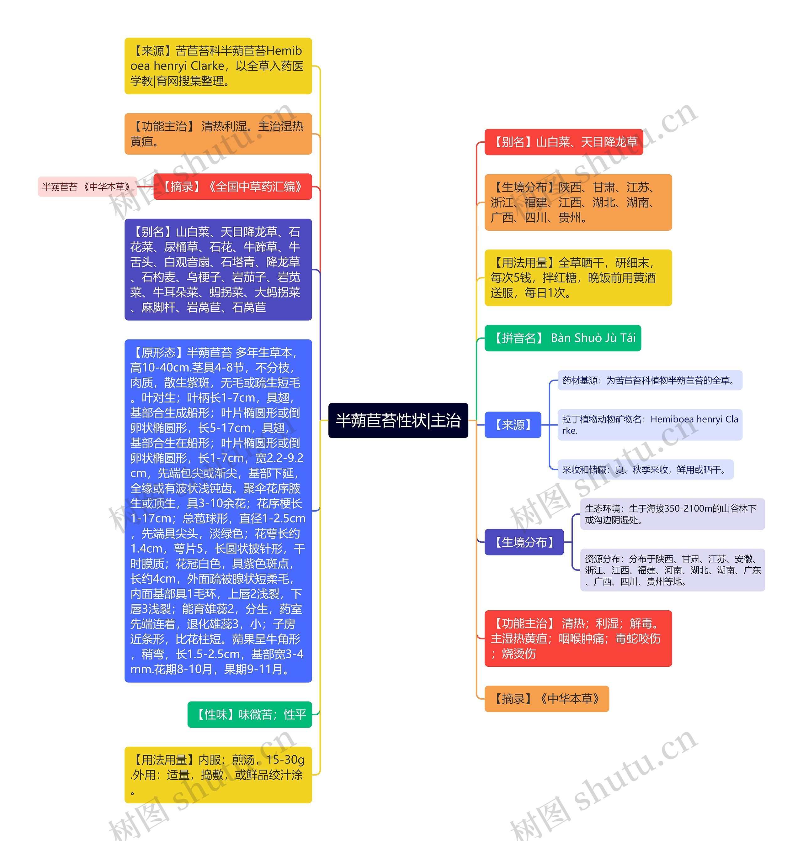 半蒴苣苔性状|主治
