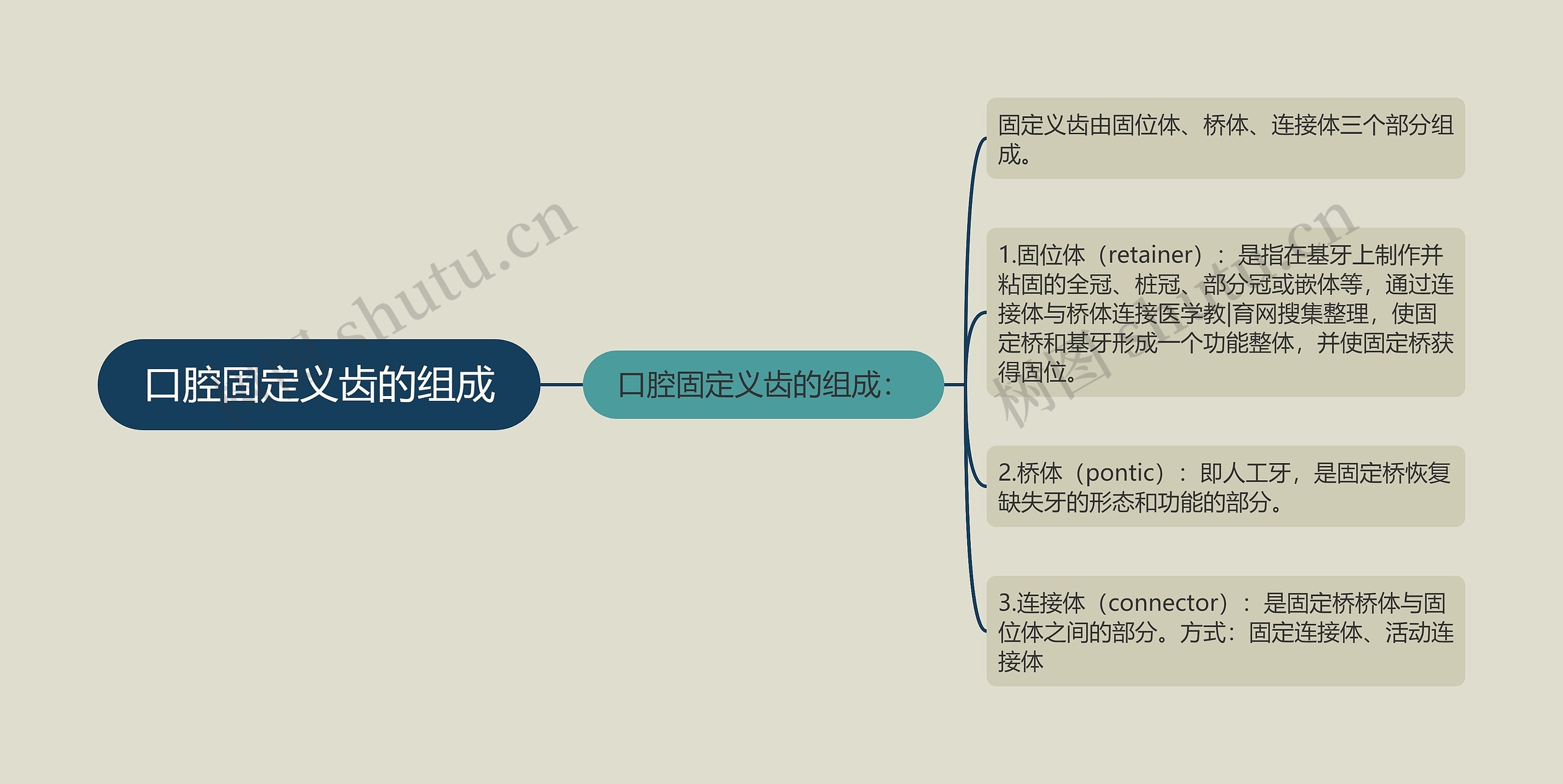口腔固定义齿的组成 口腔固定义齿的组成