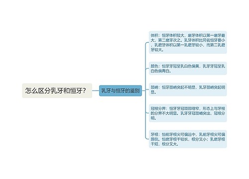 怎么区分乳牙和恒牙？