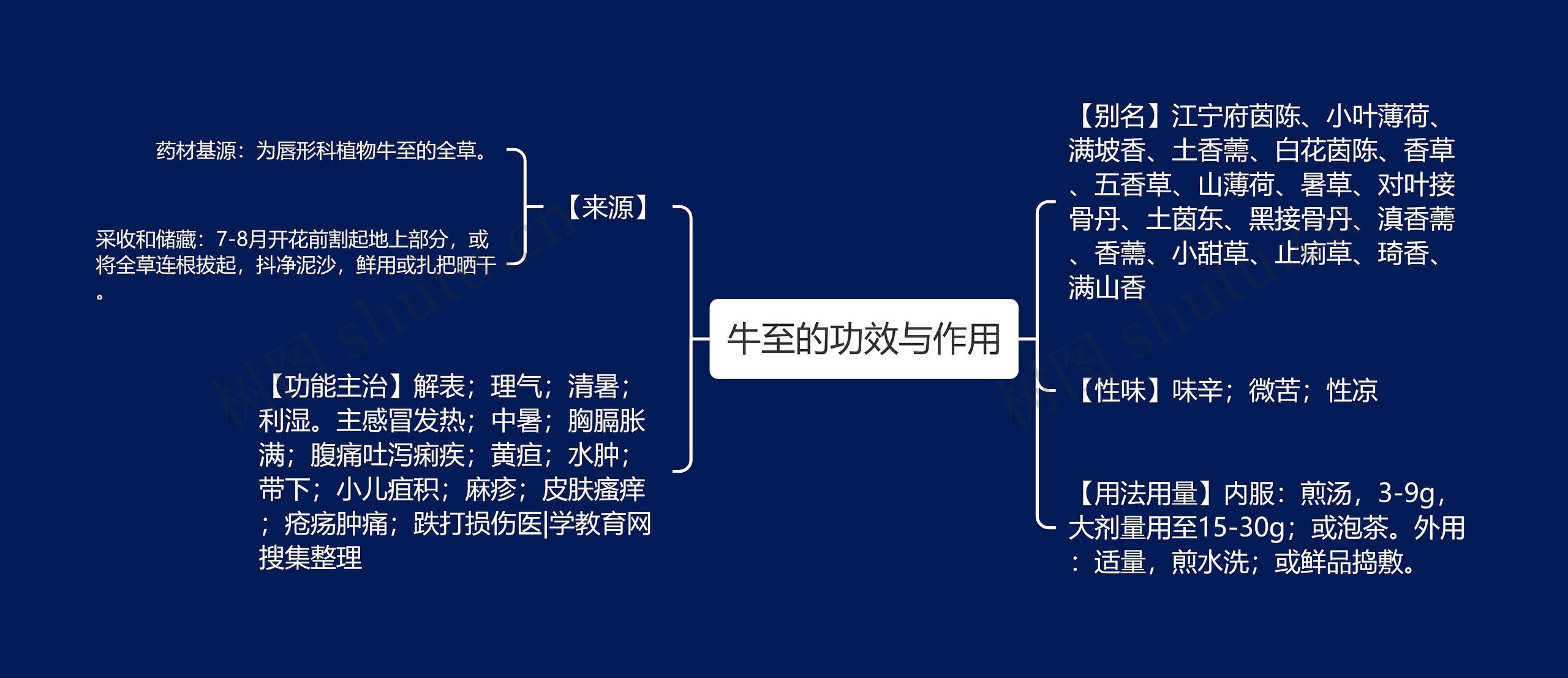 牛至的功效与作用