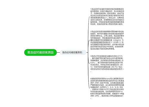 败血症对肾损害原因