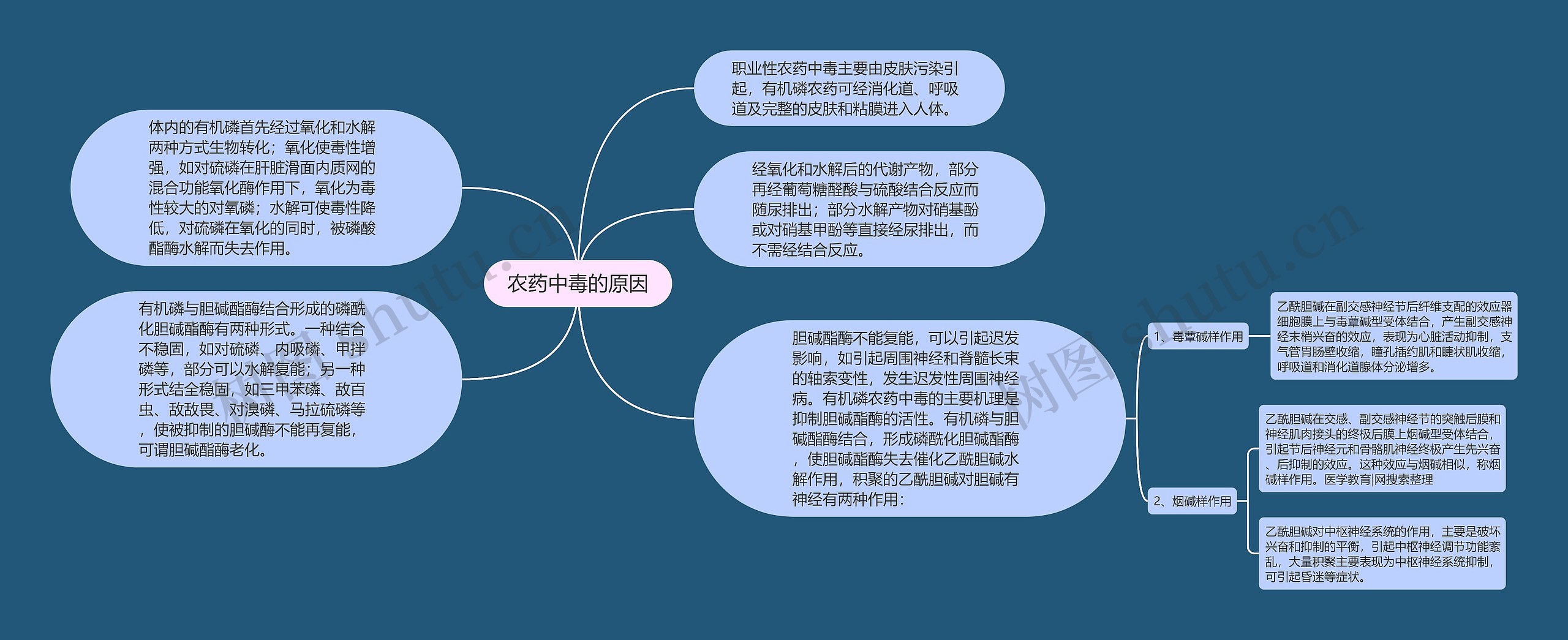 农药中毒的原因思维导图