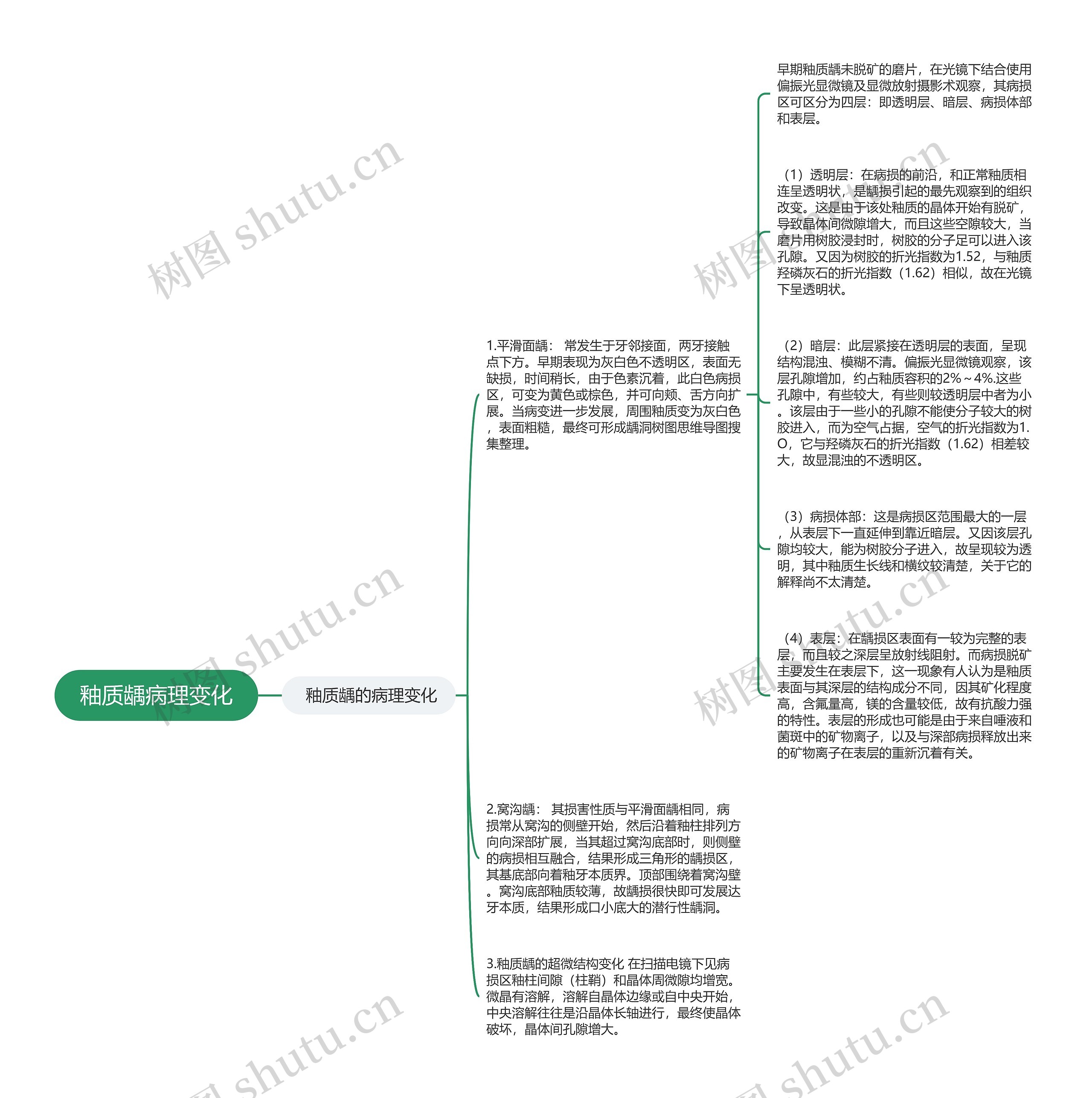 釉质龋病理变化思维导图