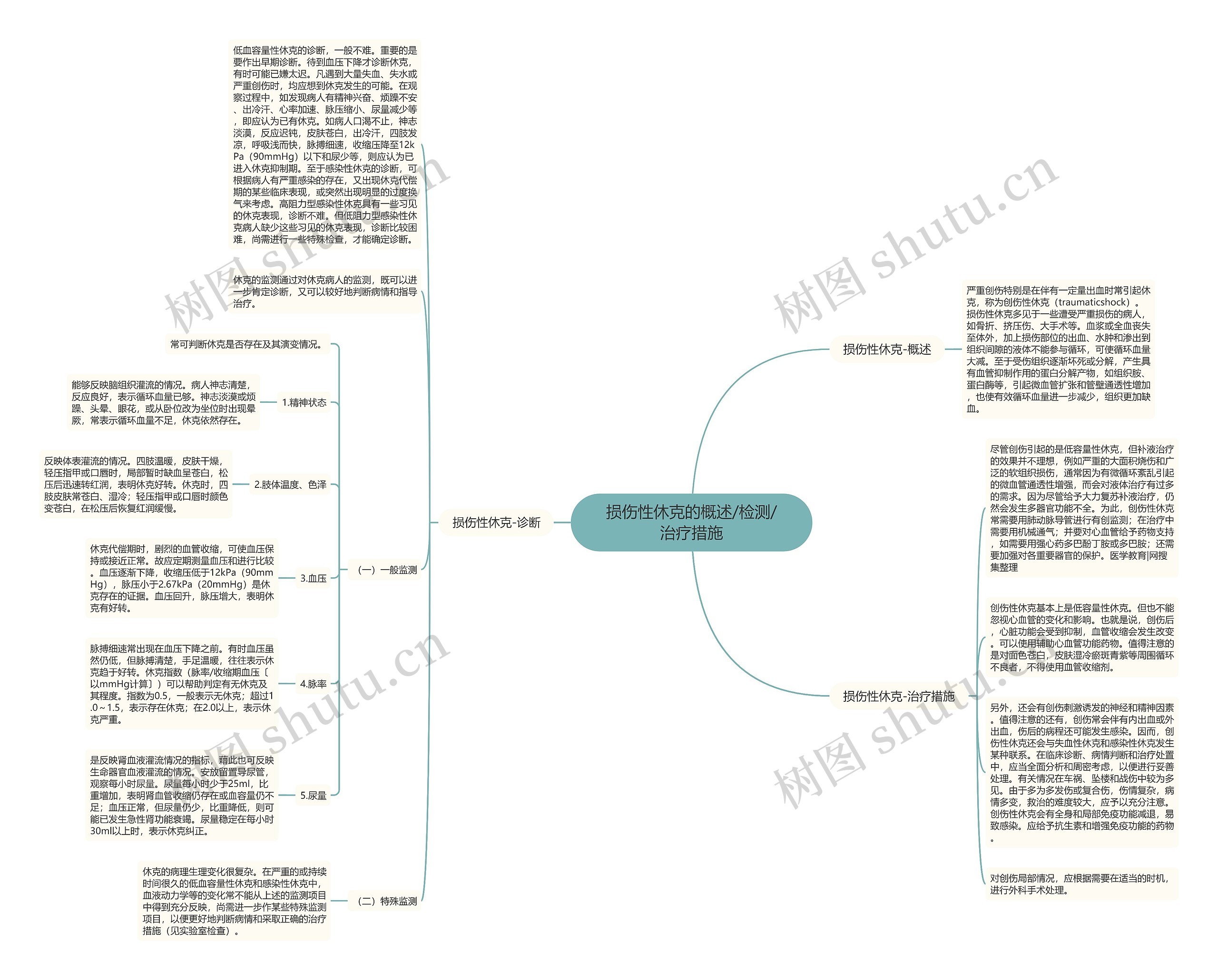 损伤性休克的概述/检测/治疗措施思维导图