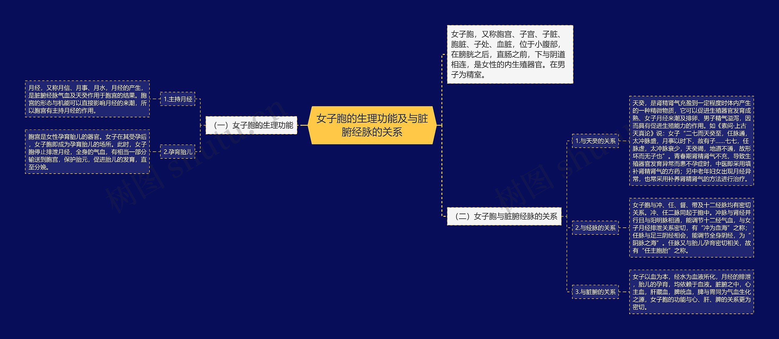 女子胞的生理功能及与脏腑经脉的关系思维导图