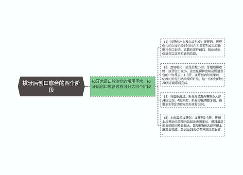 拔牙后创口愈合的四个阶段