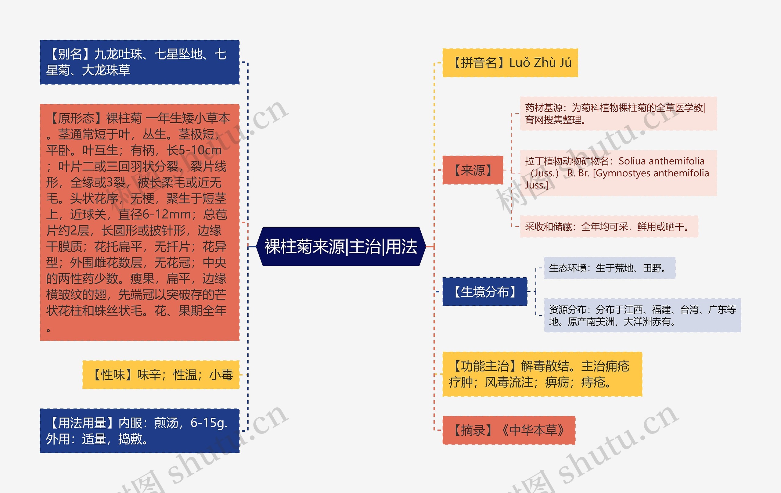 裸柱菊来源|主治|用法