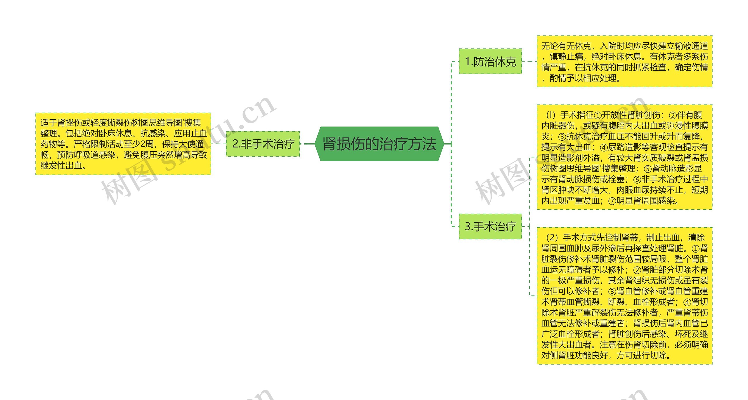 肾损伤的治疗方法