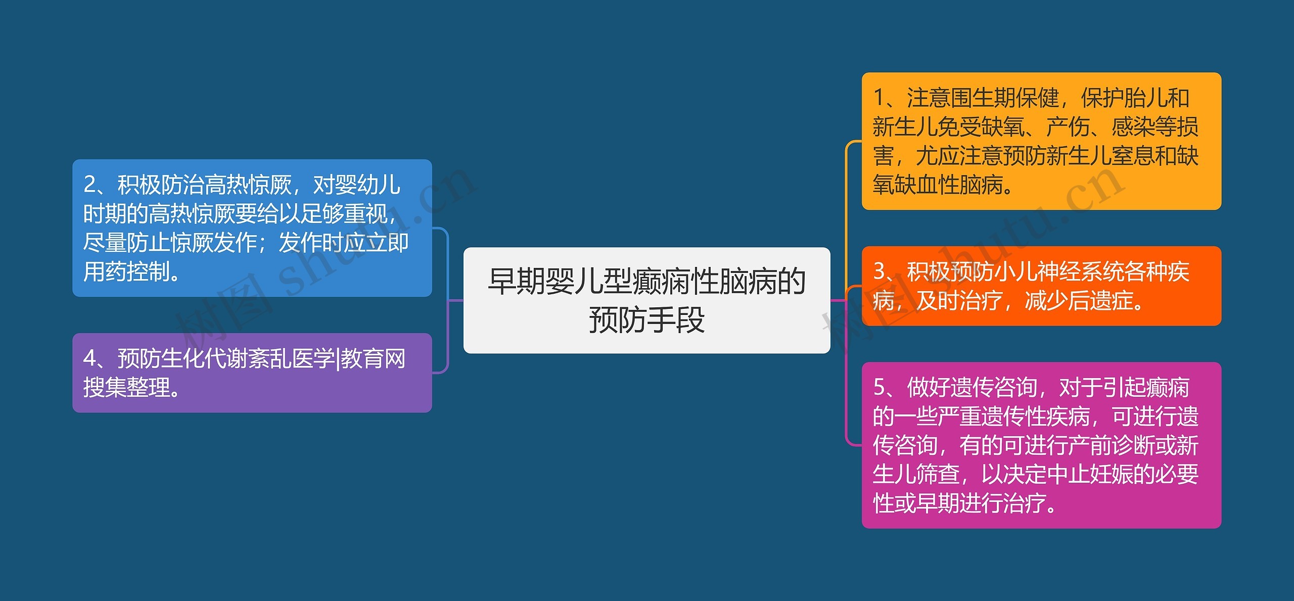 早期婴儿型癫痫性脑病的预防手段思维导图