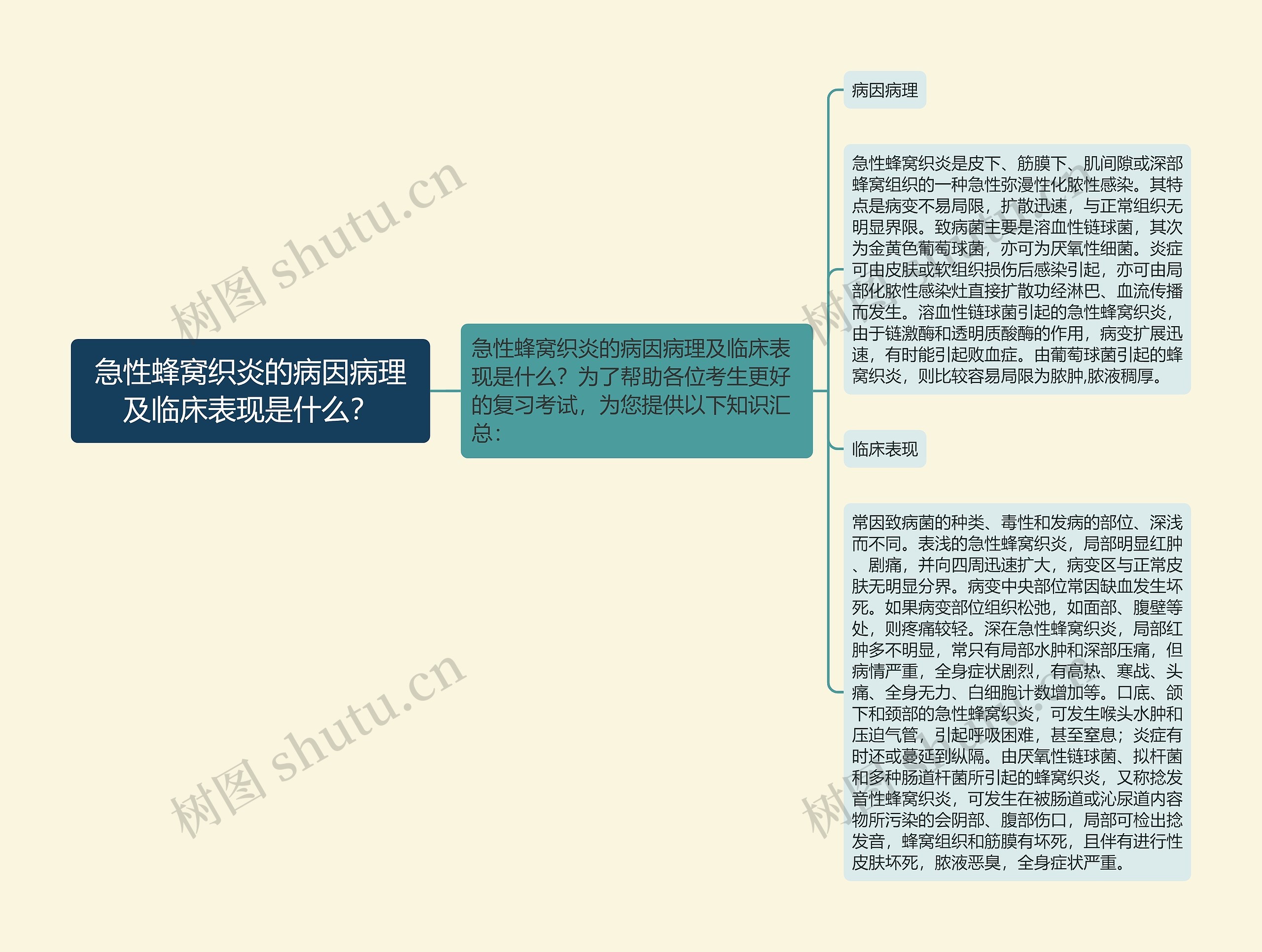 急性蜂窝织炎的病因病理及临床表现是什么？思维导图