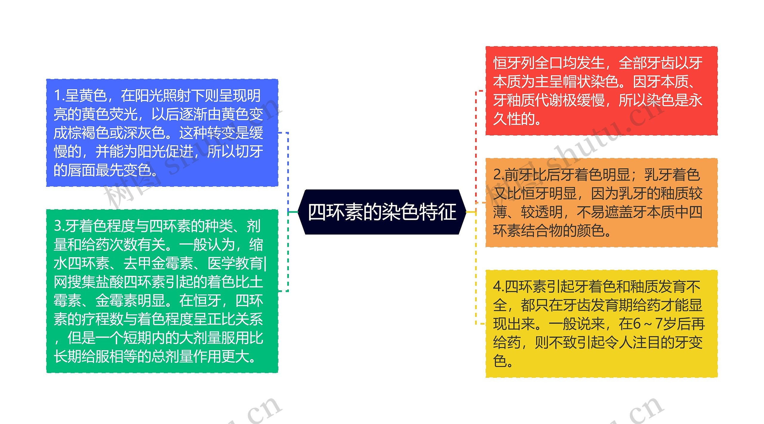 四环素的染色特征思维导图