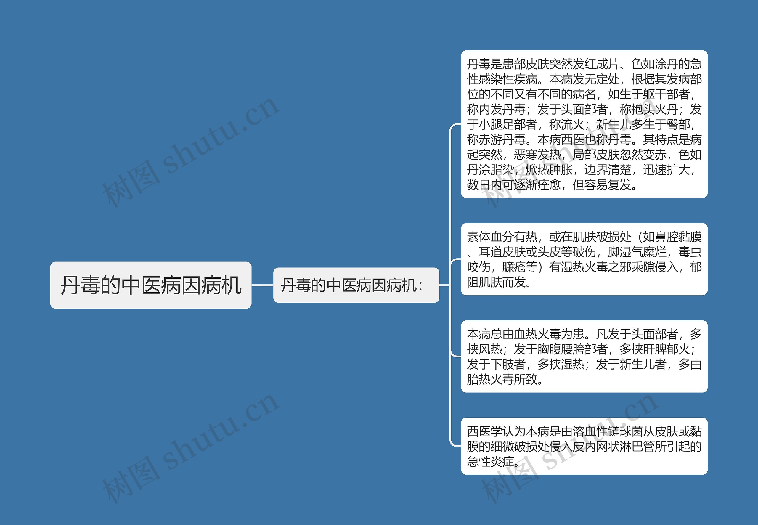 丹毒的中医病因病机思维导图