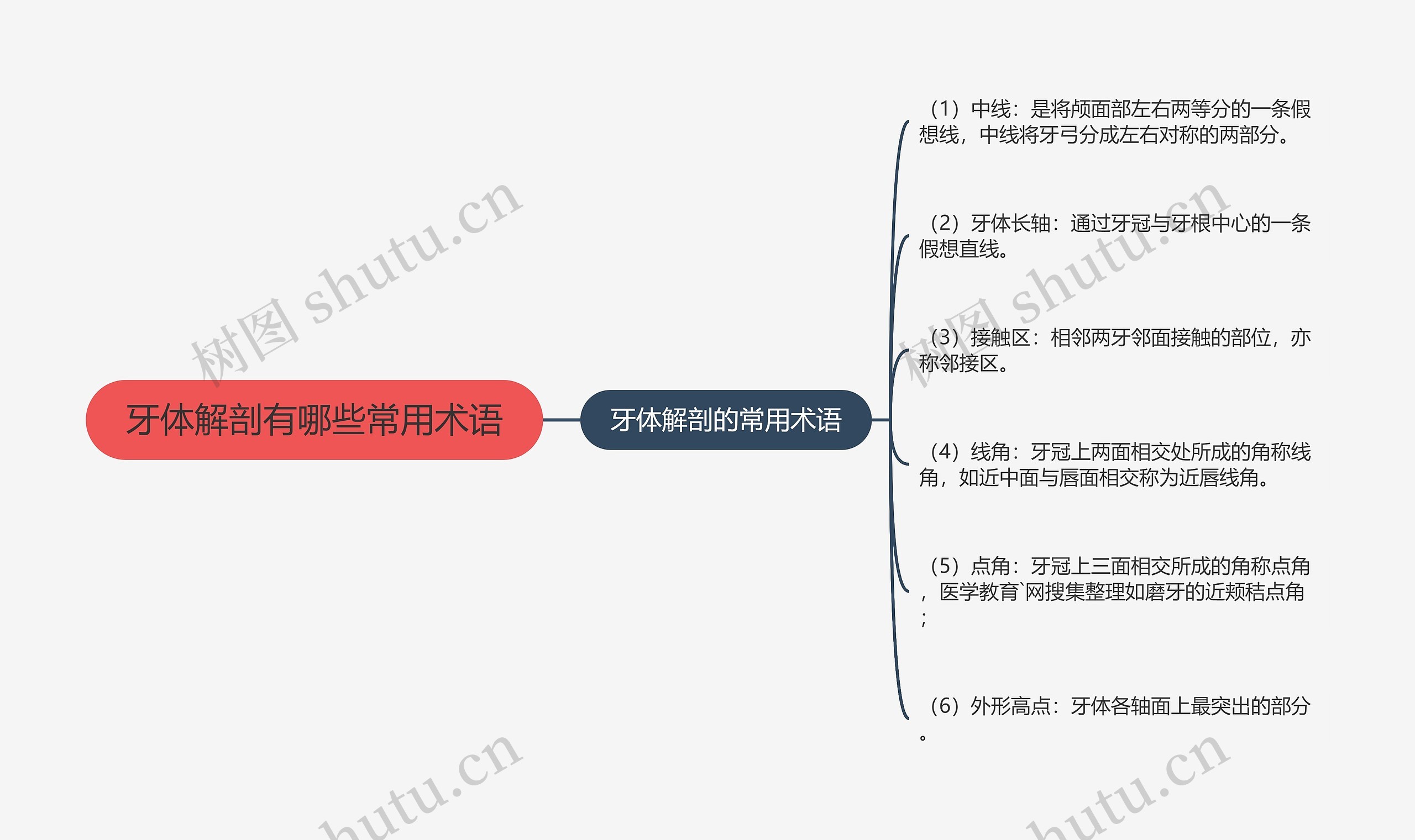 牙体解剖有哪些常用术语思维导图