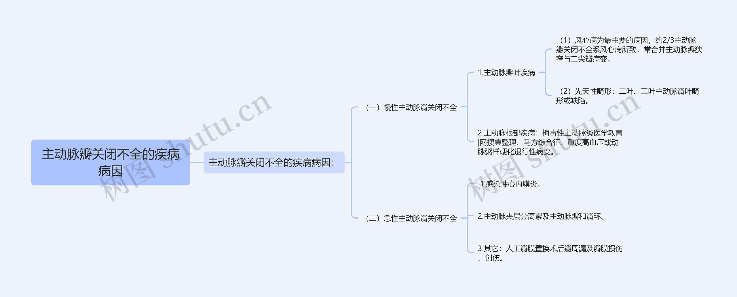 主动脉瓣关闭不全的疾病病因思维导图