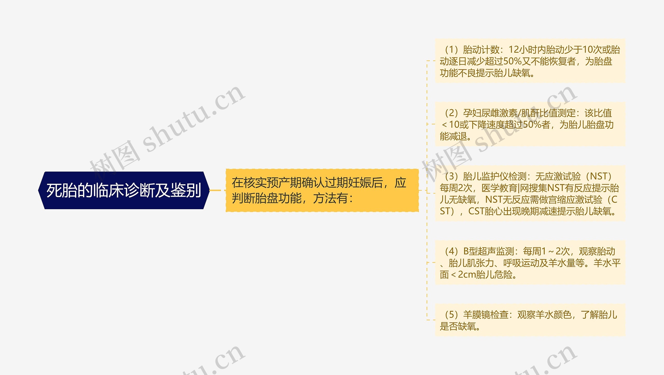 死胎的临床诊断及鉴别思维导图