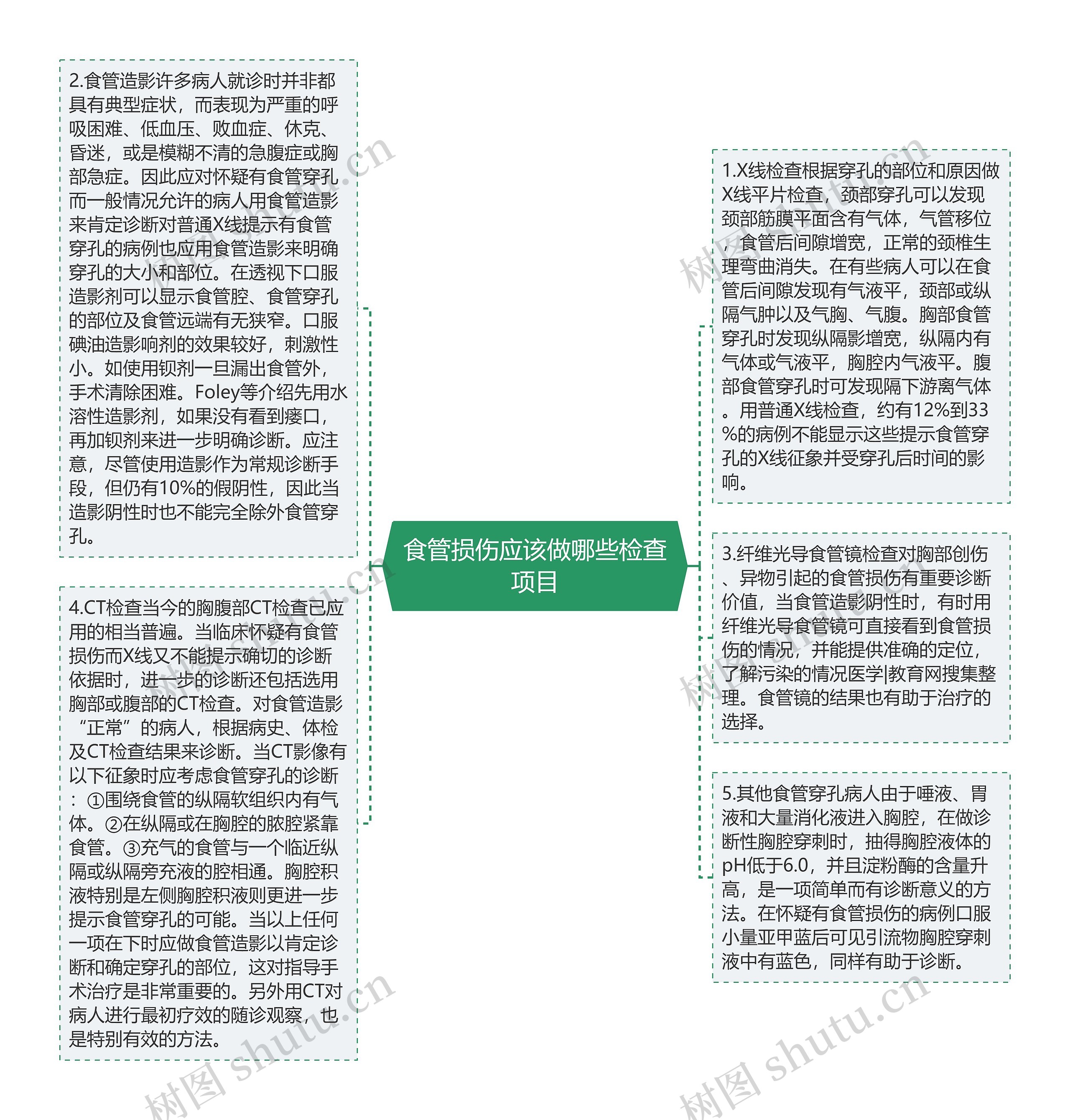 食管损伤应该做哪些检查项目