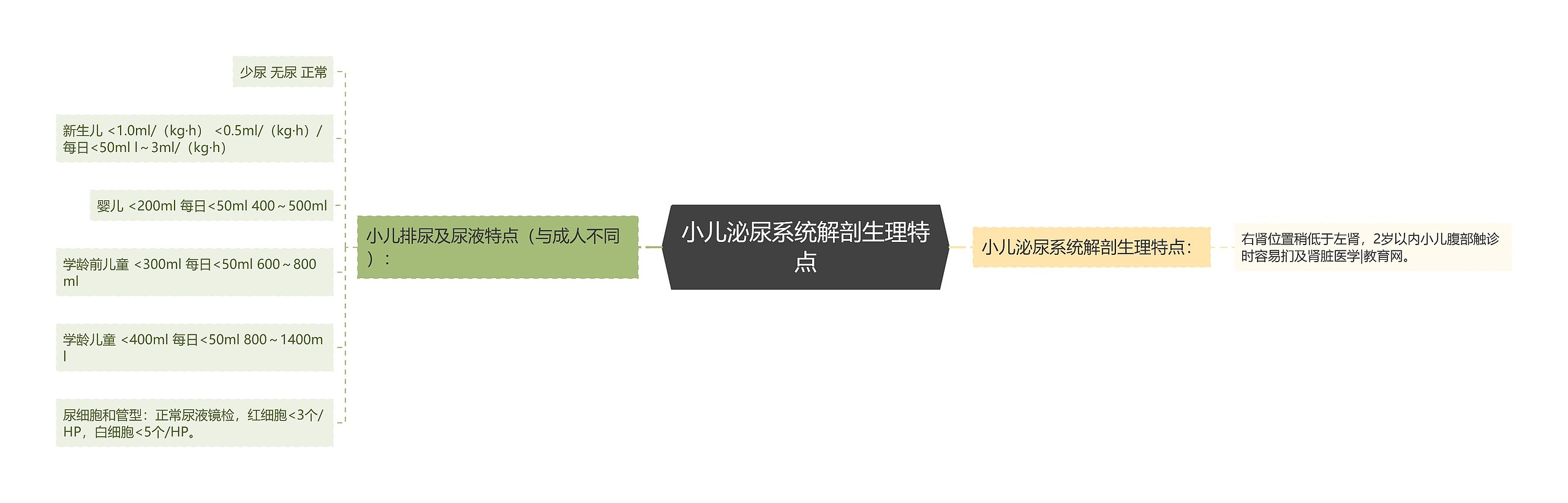 小儿泌尿系统解剖生理特点思维导图