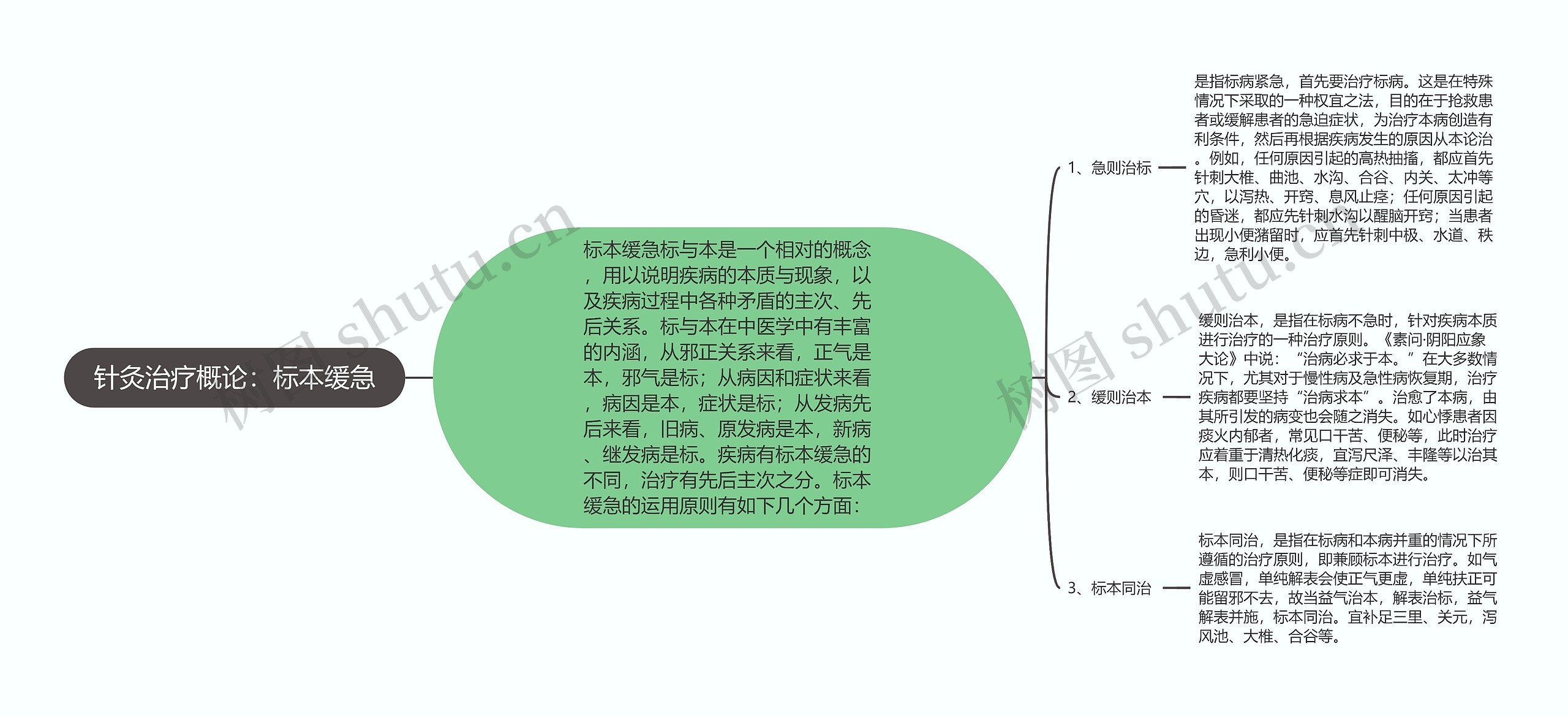 针灸治疗概论：标本缓急思维导图