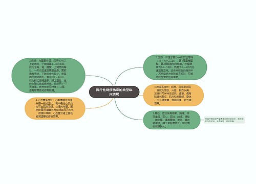 流行性斑疹伤寒的典型临床表现