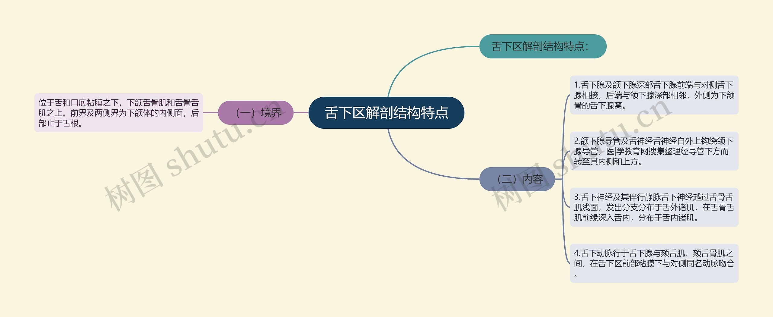 舌下区解剖结构特点