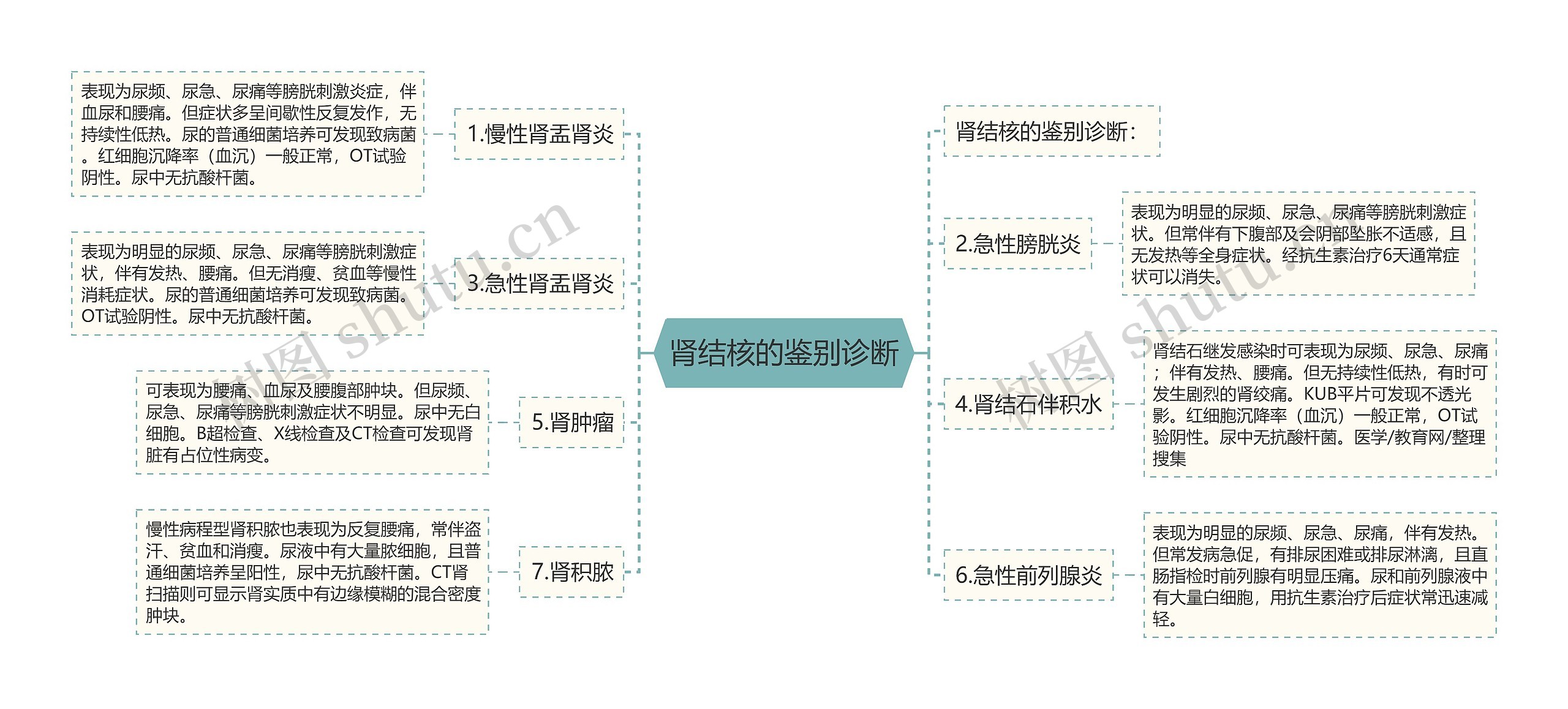 肾结核的鉴别诊断