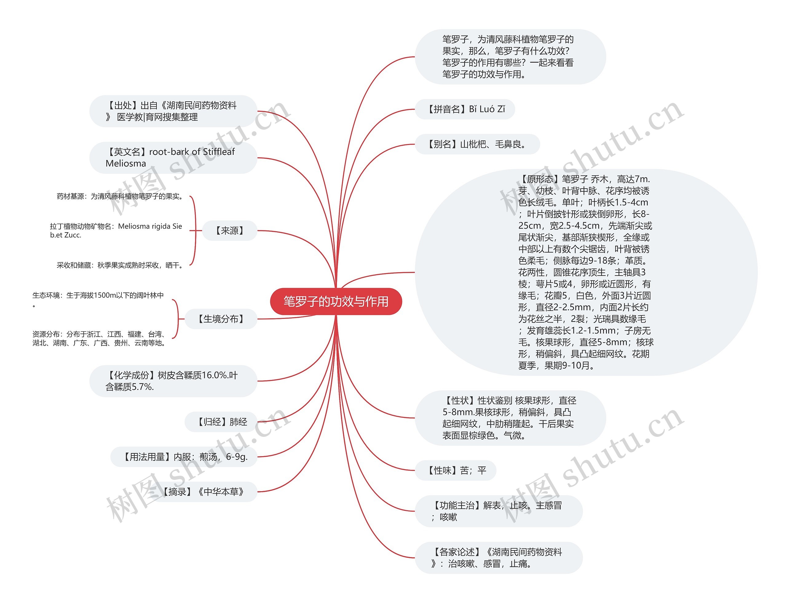 笔罗子的功效与作用