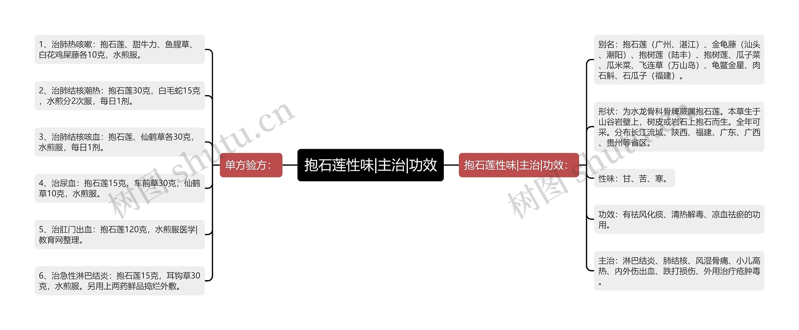 抱石莲性味|主治|功效 抱石莲性味|主治|功效