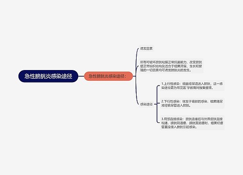 急性膀胱炎感染途径