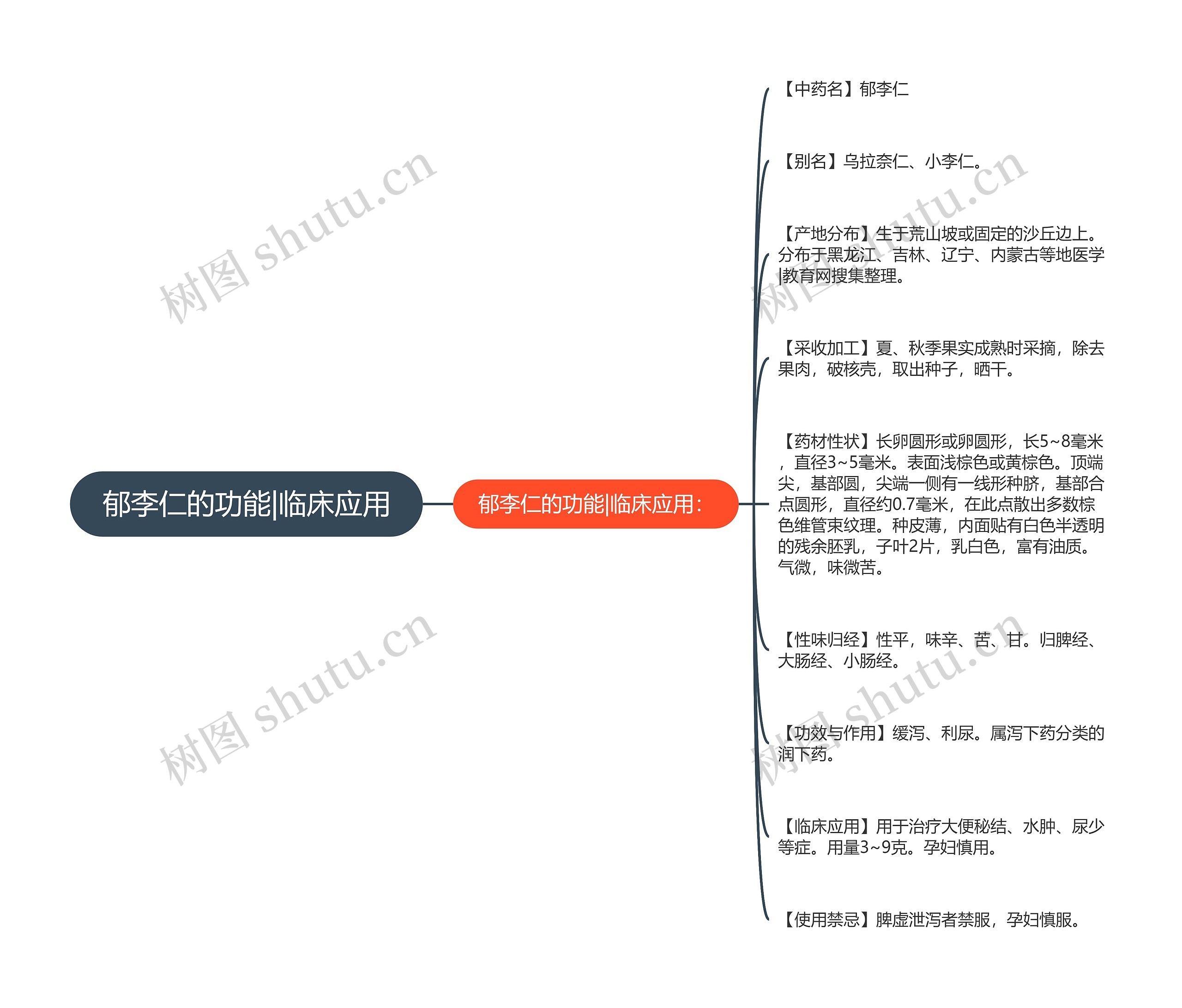 郁李仁的功能|临床应用思维导图