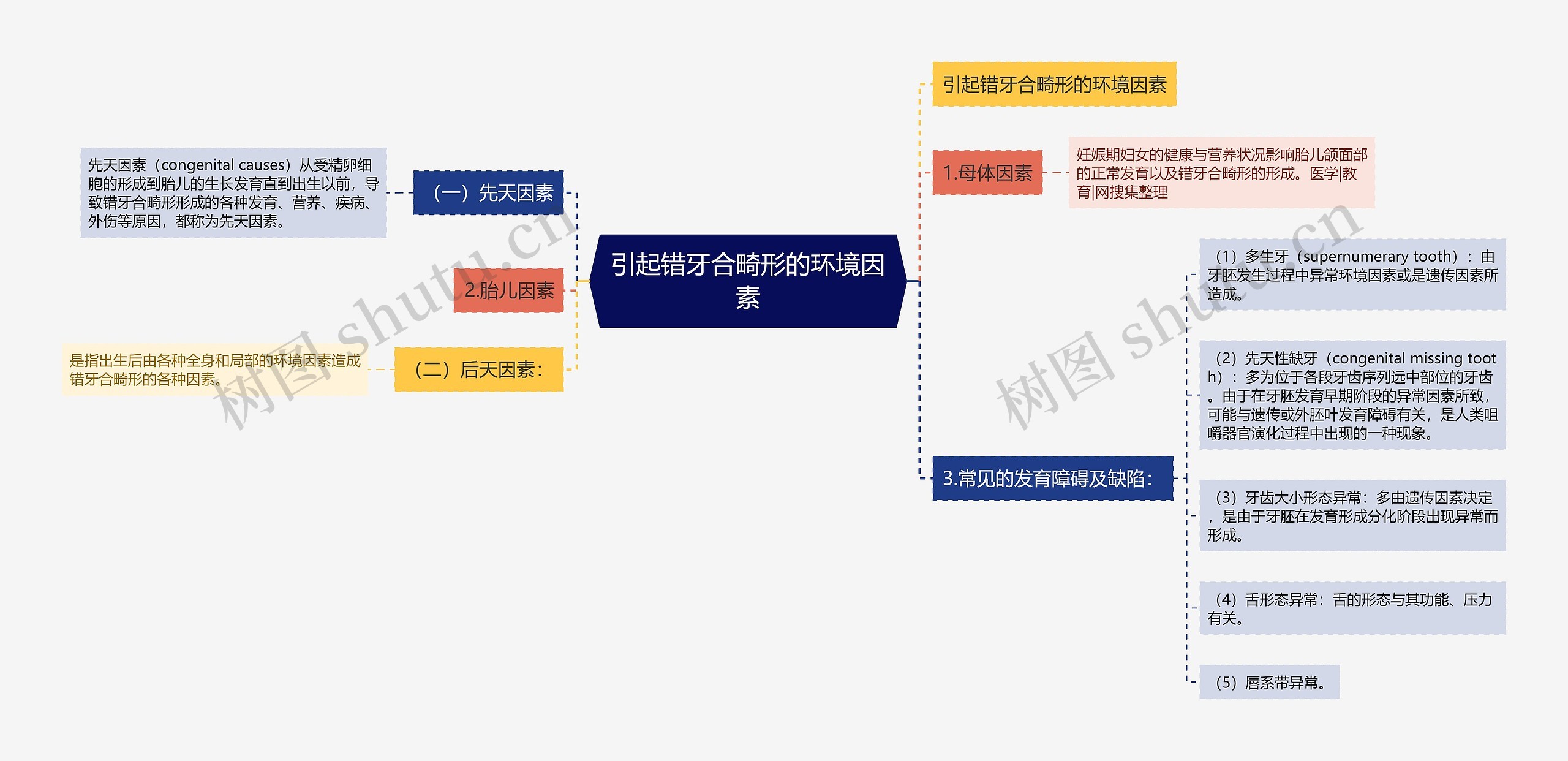 引起错牙合畸形的环境因素思维导图