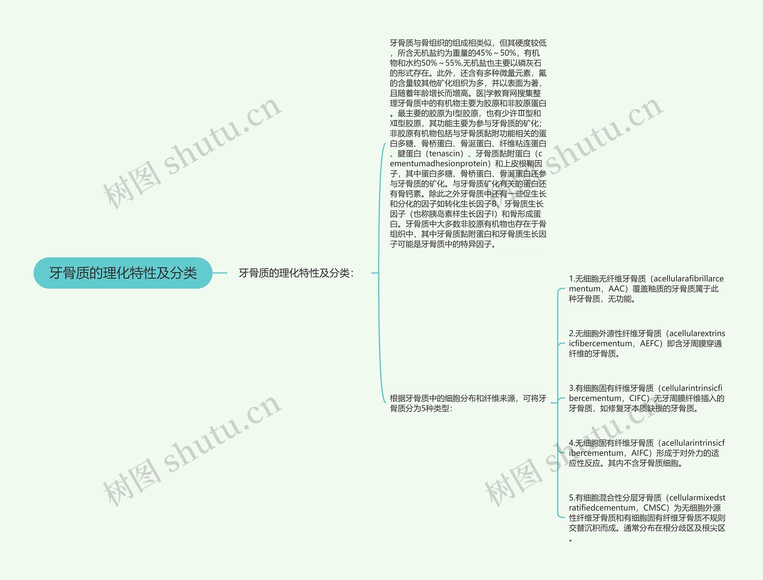 牙骨质的理化特性及分类思维导图