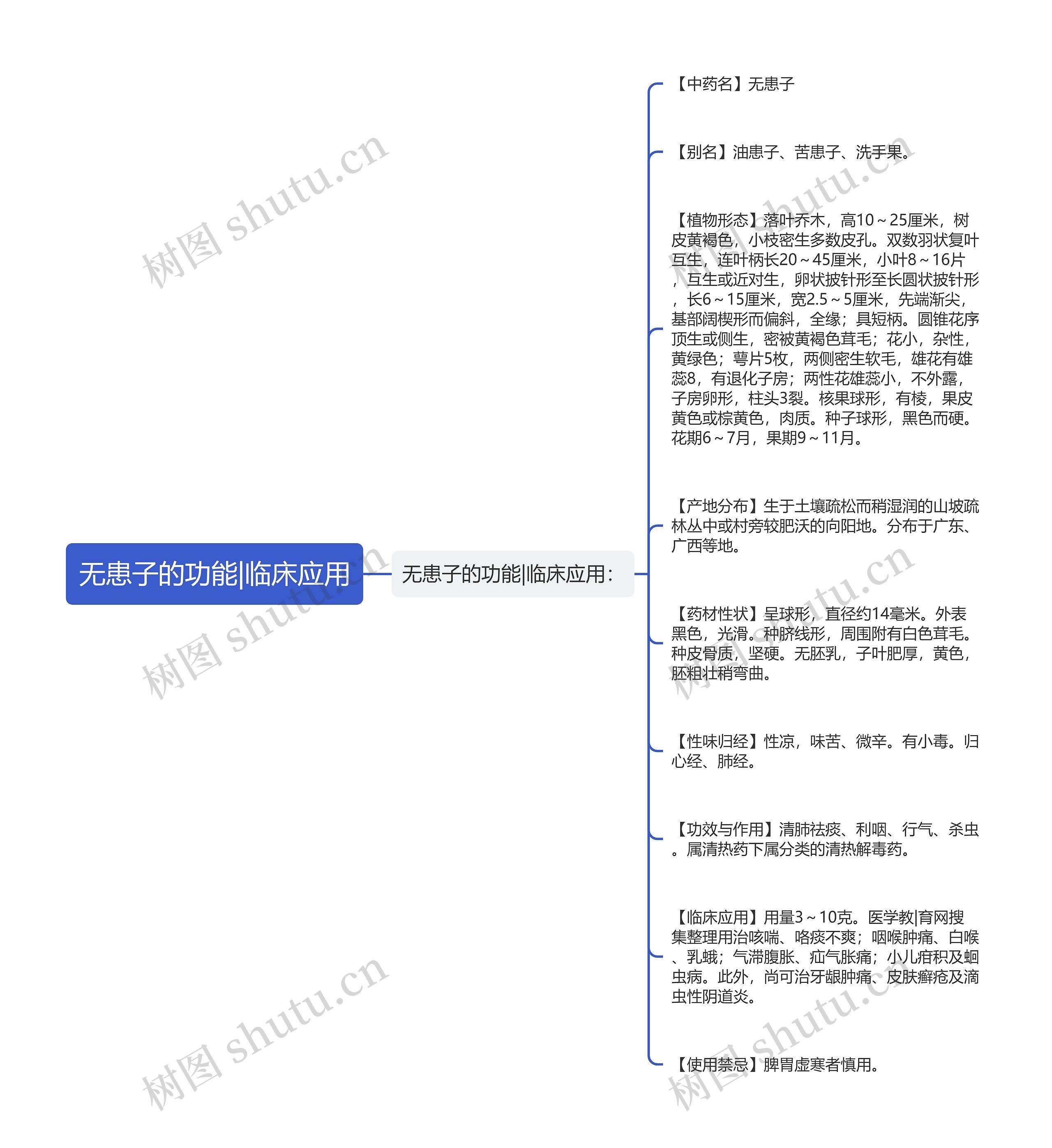 无患子的功能|临床应用思维导图