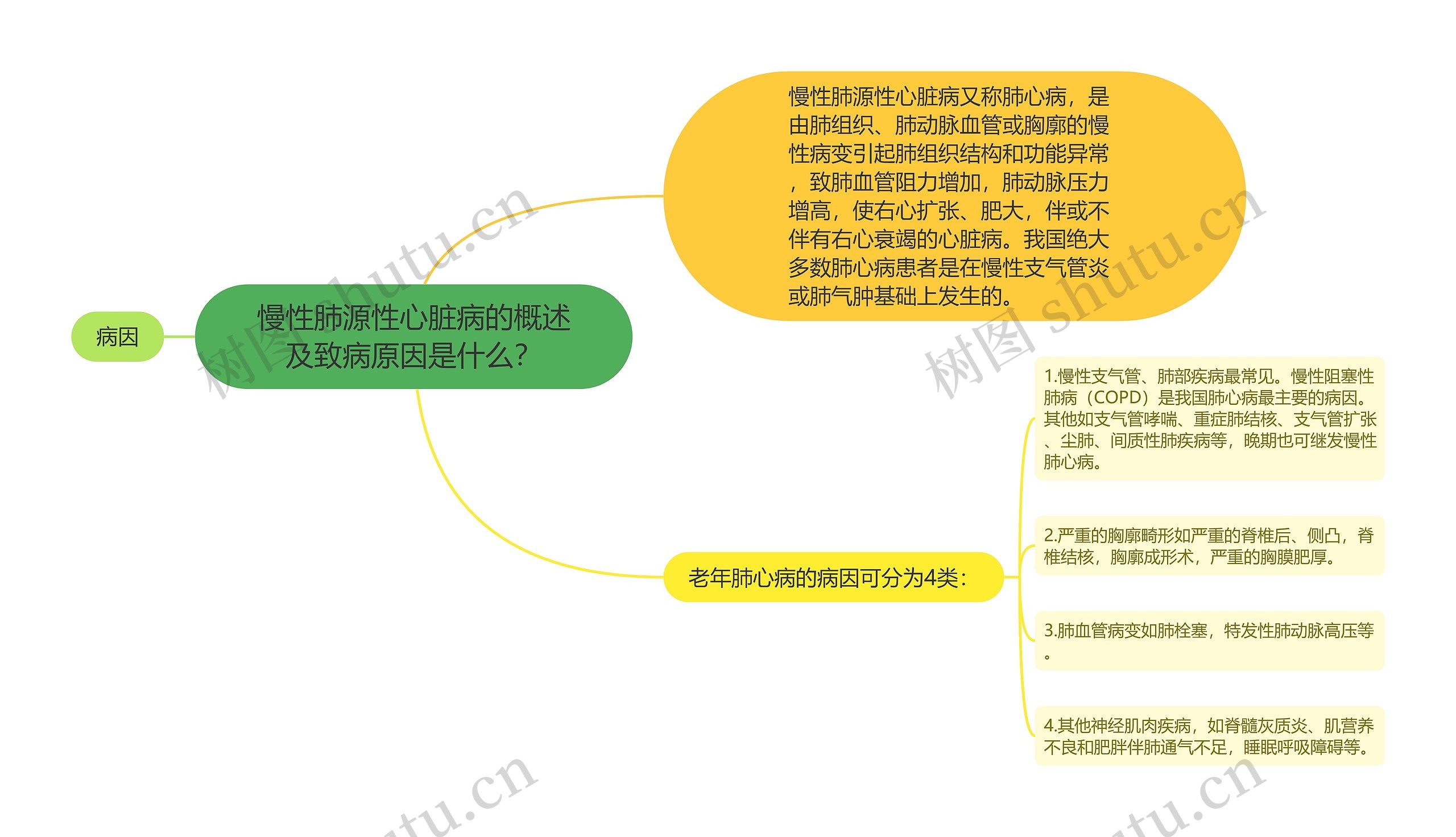 慢性肺源性心脏病的概述及致病原因是什么？思维导图