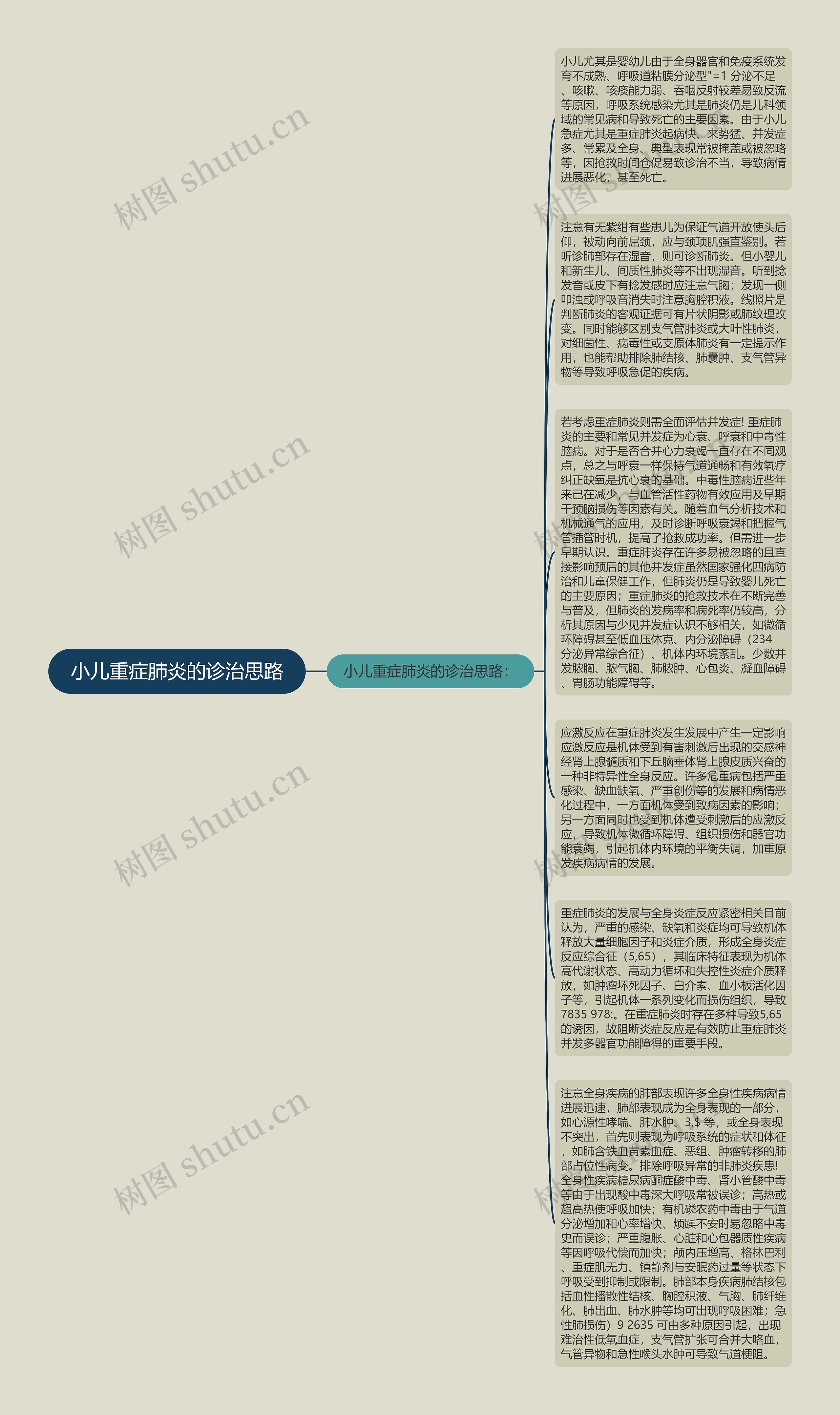 小儿重症肺炎的诊治思路思维导图