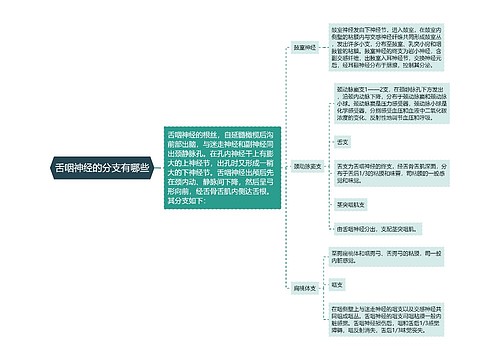 舌咽神经的分支有哪些