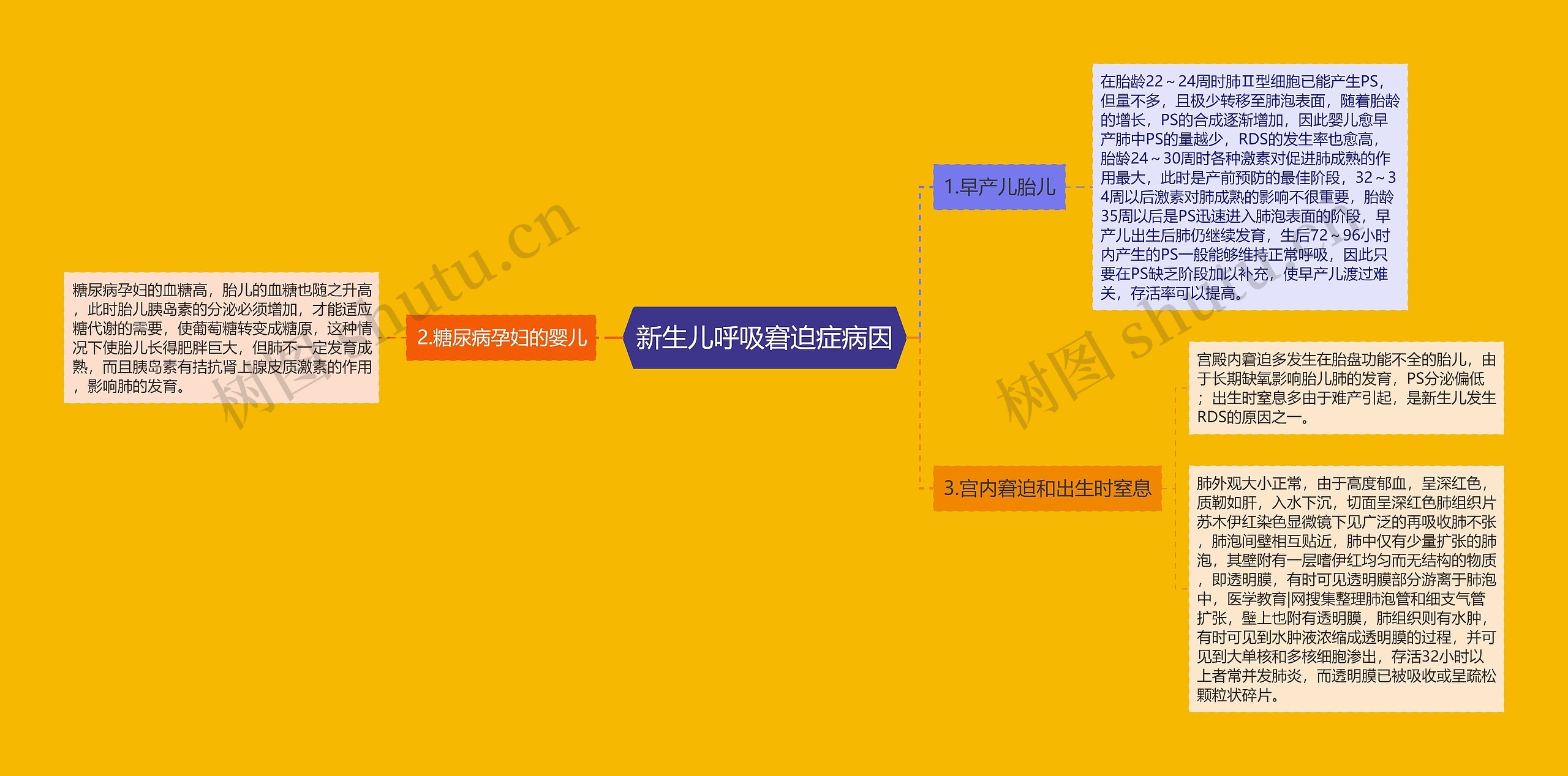 新生儿呼吸窘迫症病因思维导图