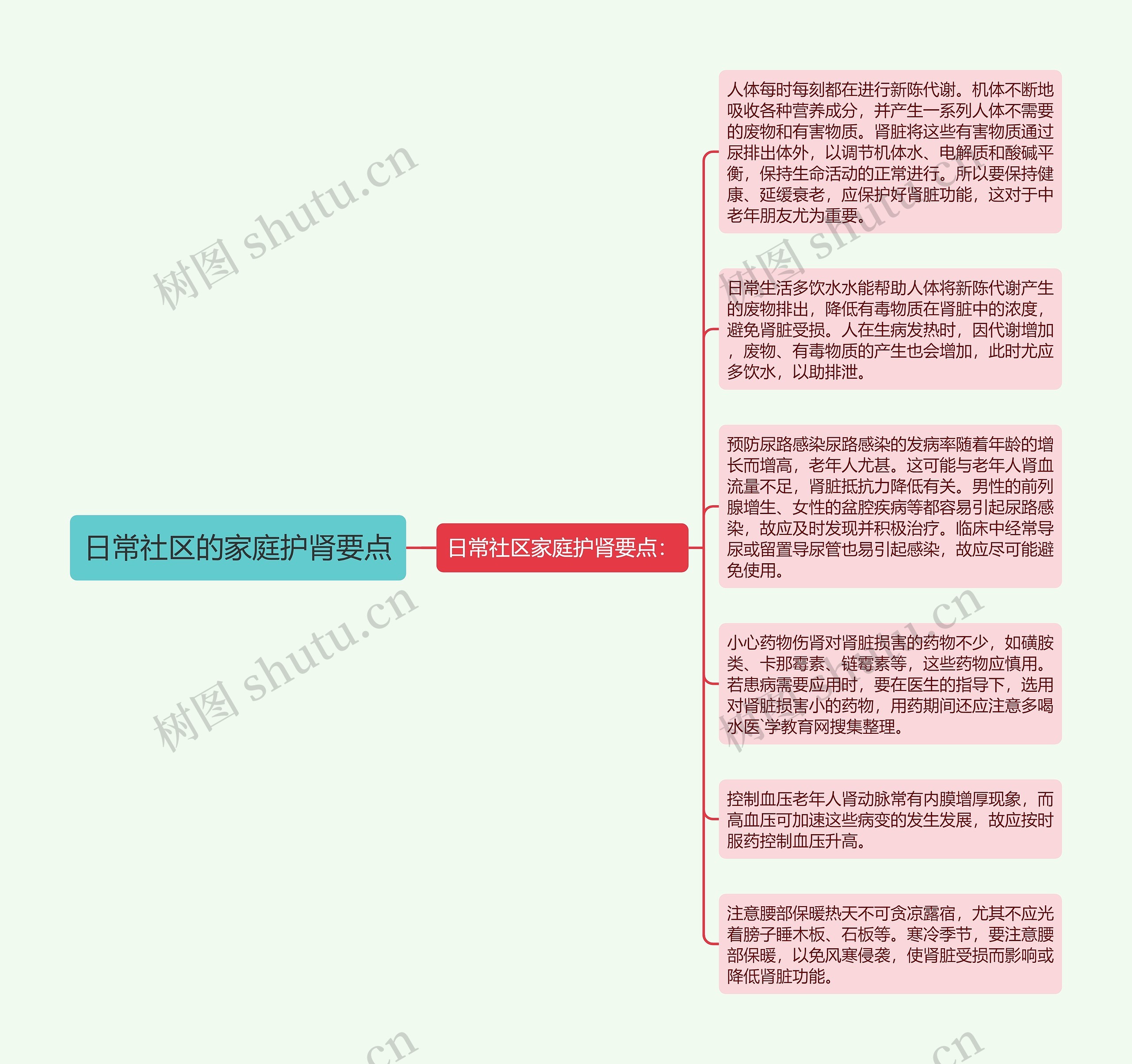 日常社区的家庭护肾要点思维导图