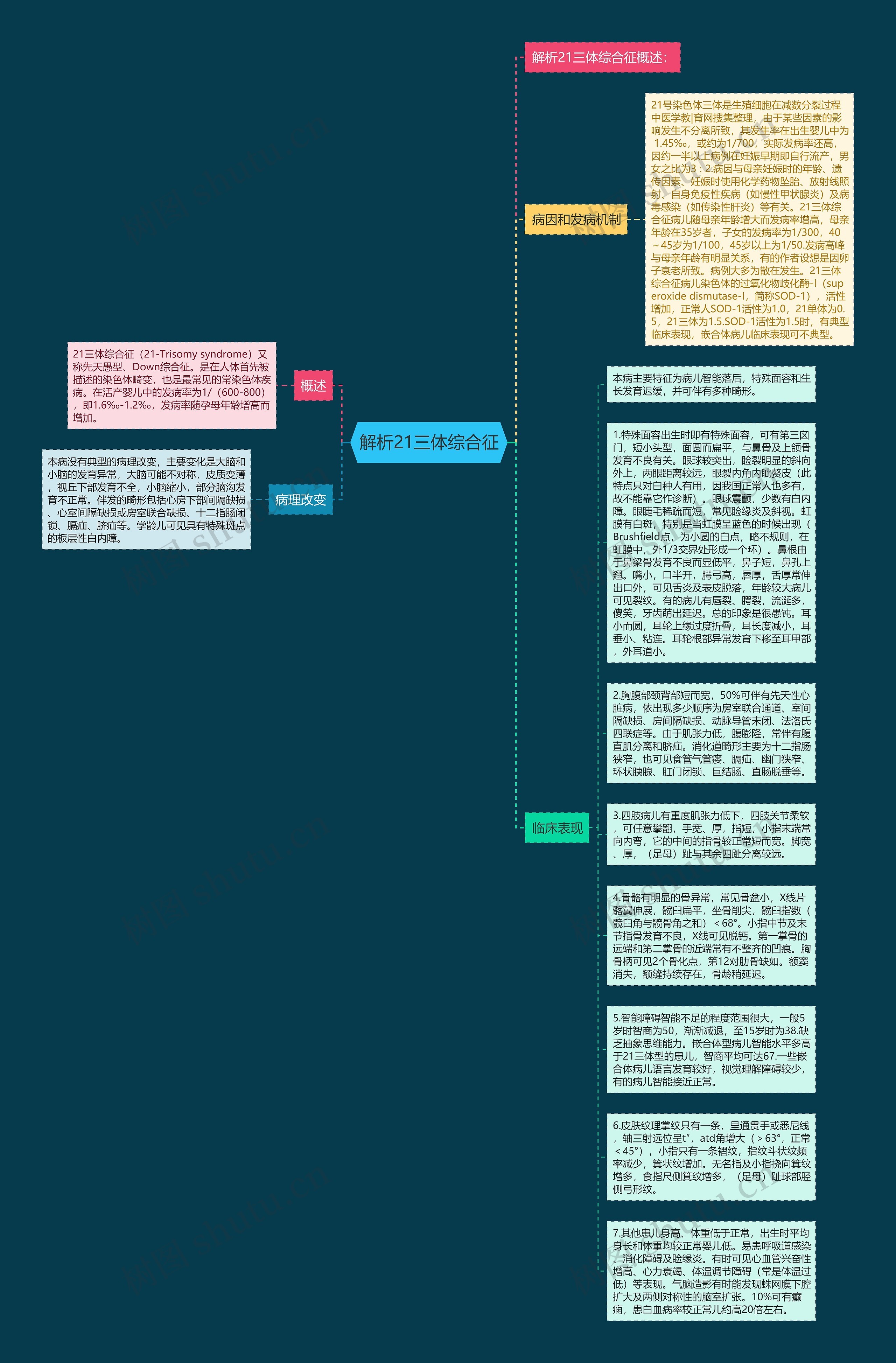 解析21三体综合征思维导图