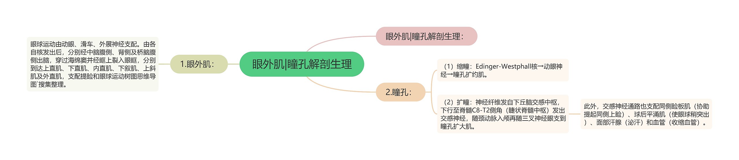 眼外肌|瞳孔解剖生理思维导图