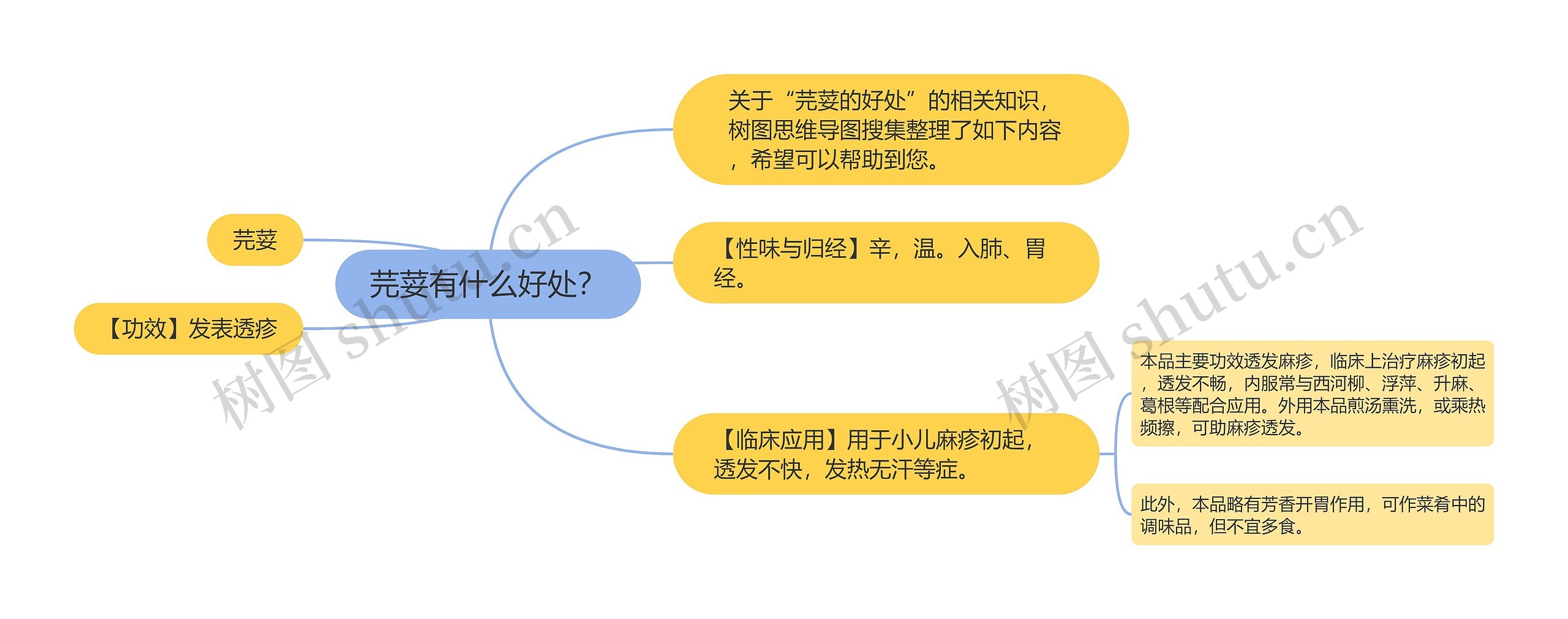 芫荽有什么好处？思维导图